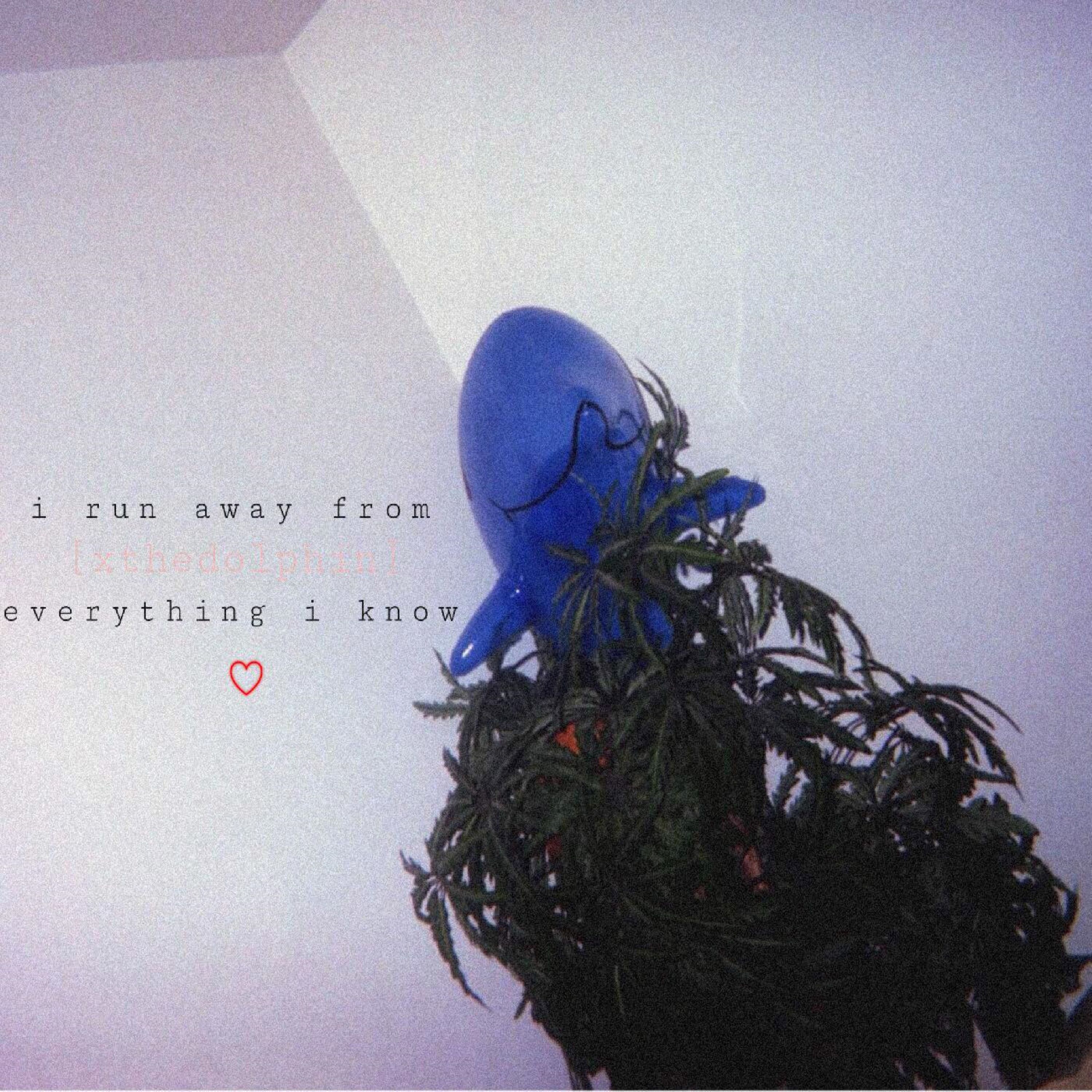 i run away from everything i know artwork