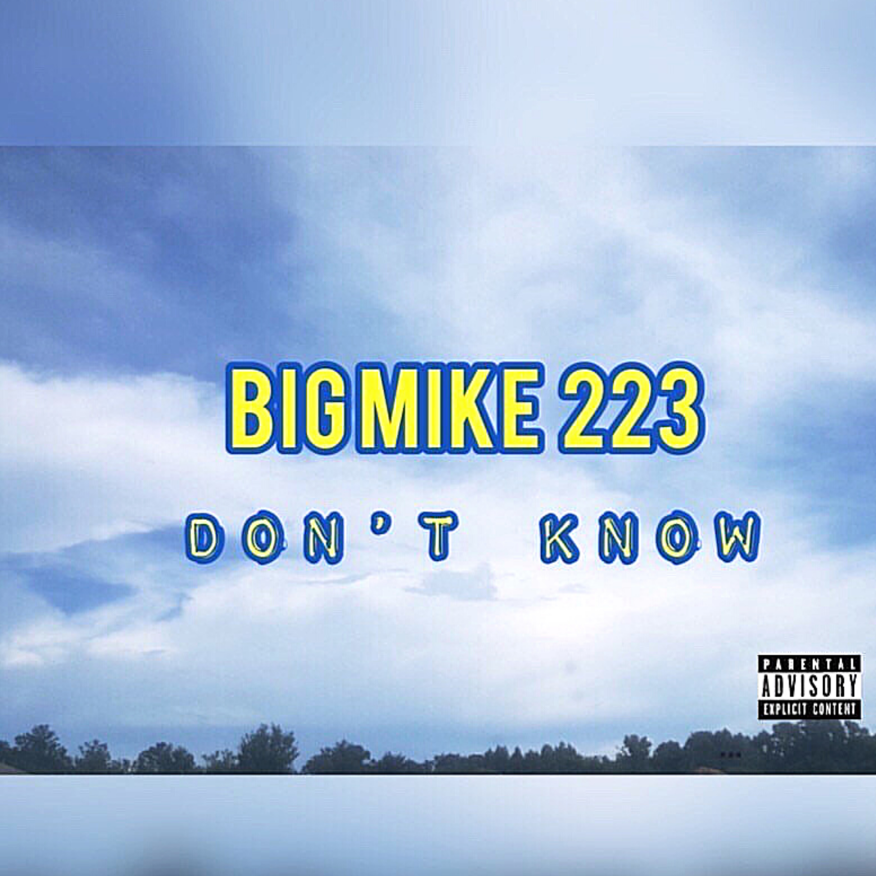 Don't Know artwork