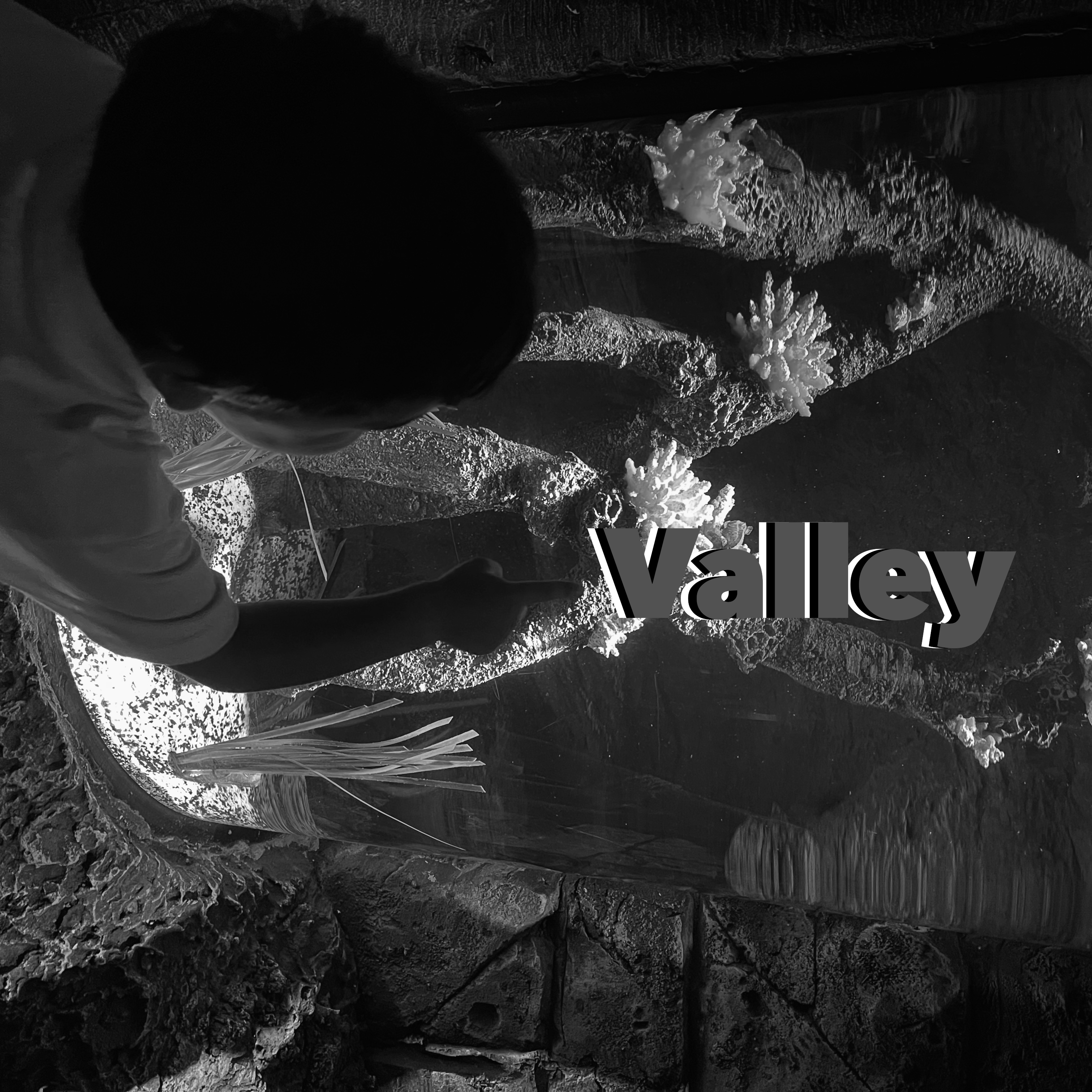 Valley artwork