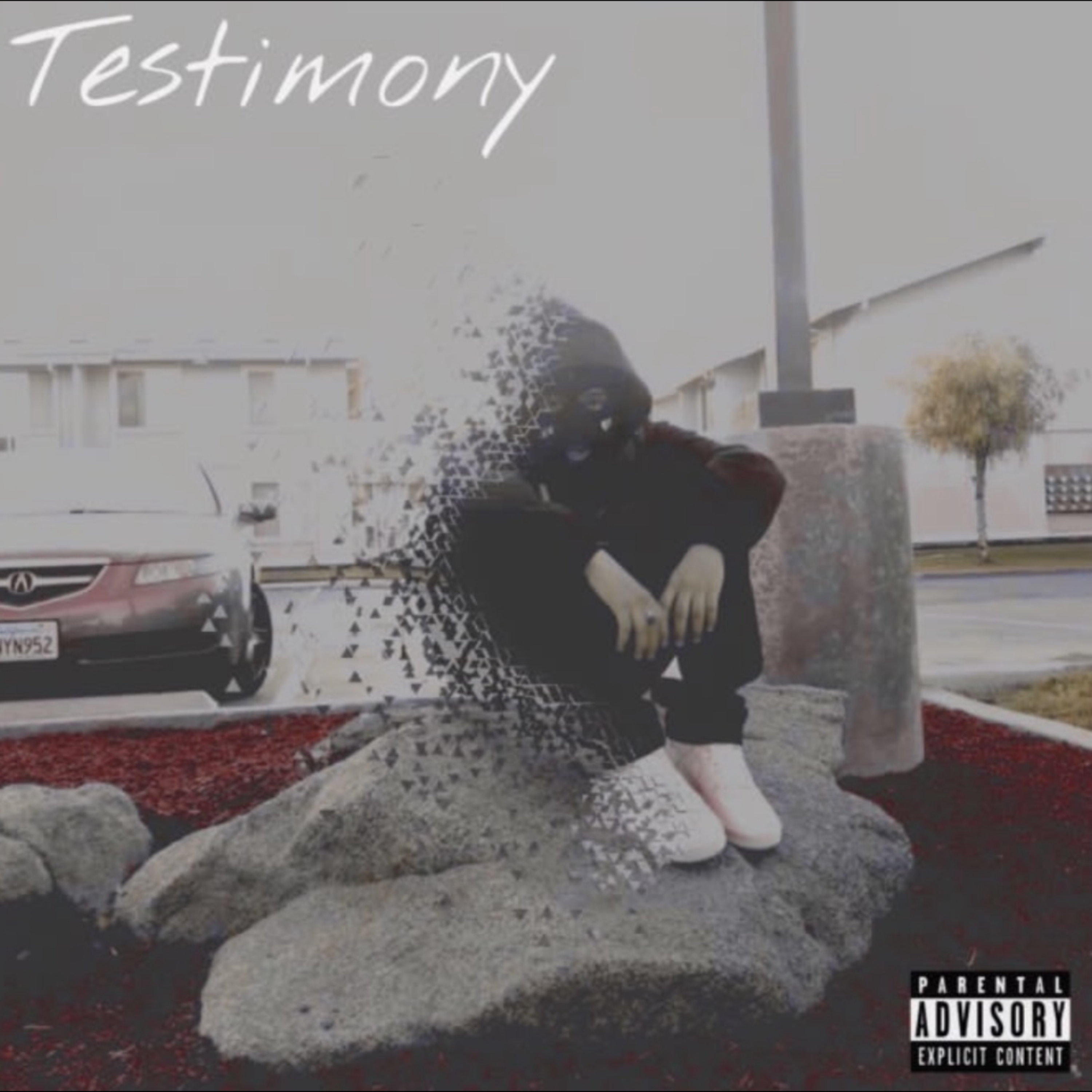 Testimony artwork