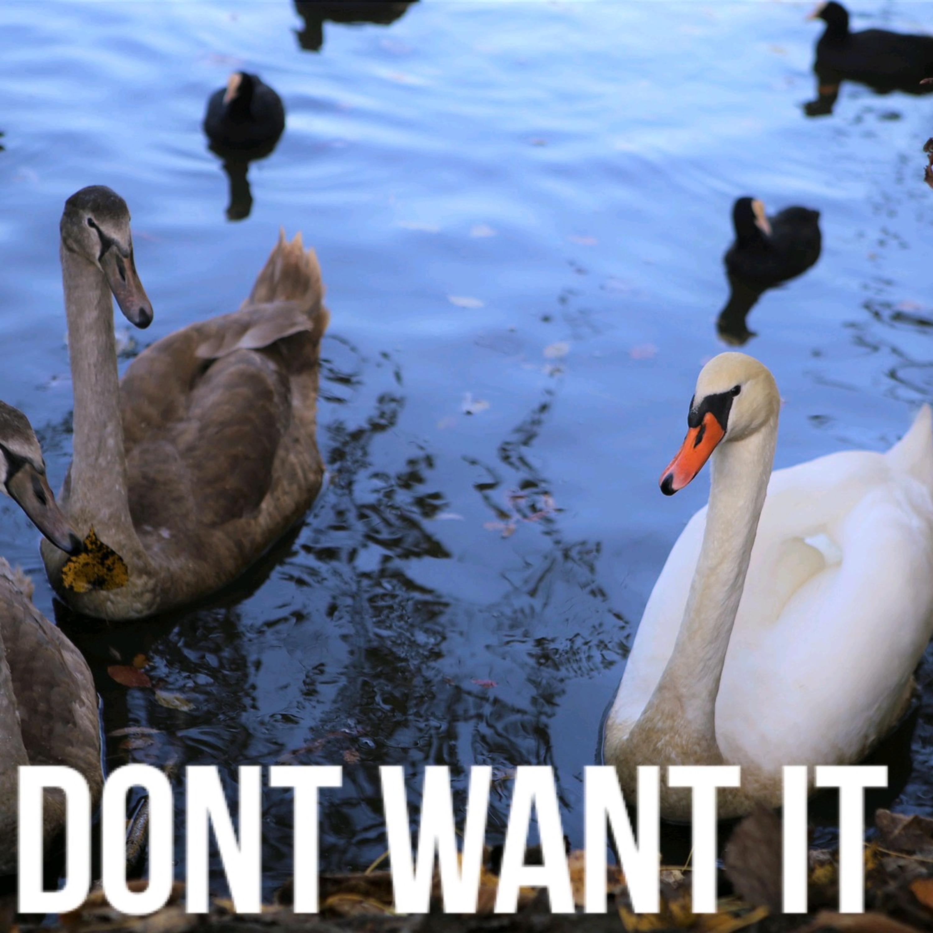 DONT WANT IT artwork