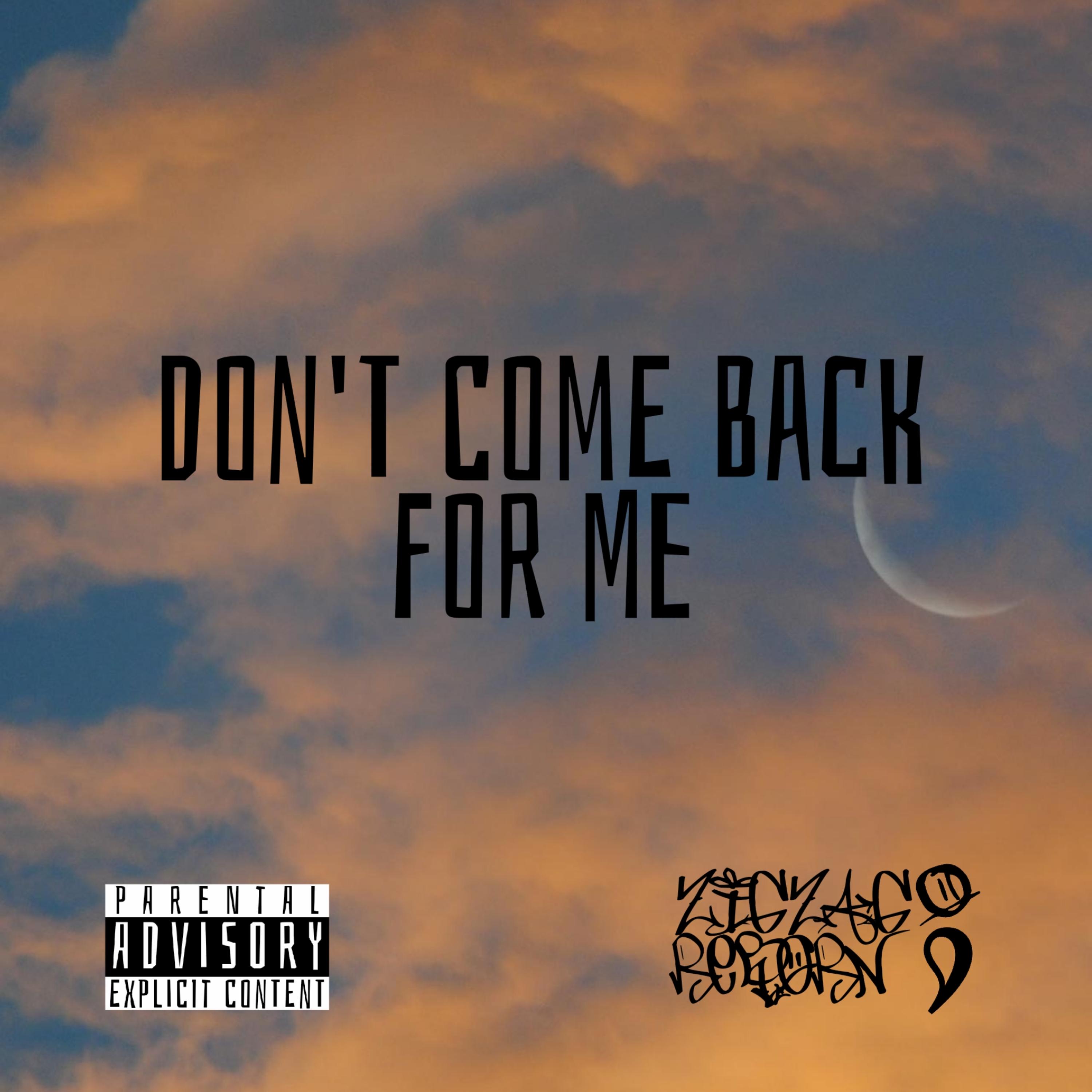 Don't come back for me artwork