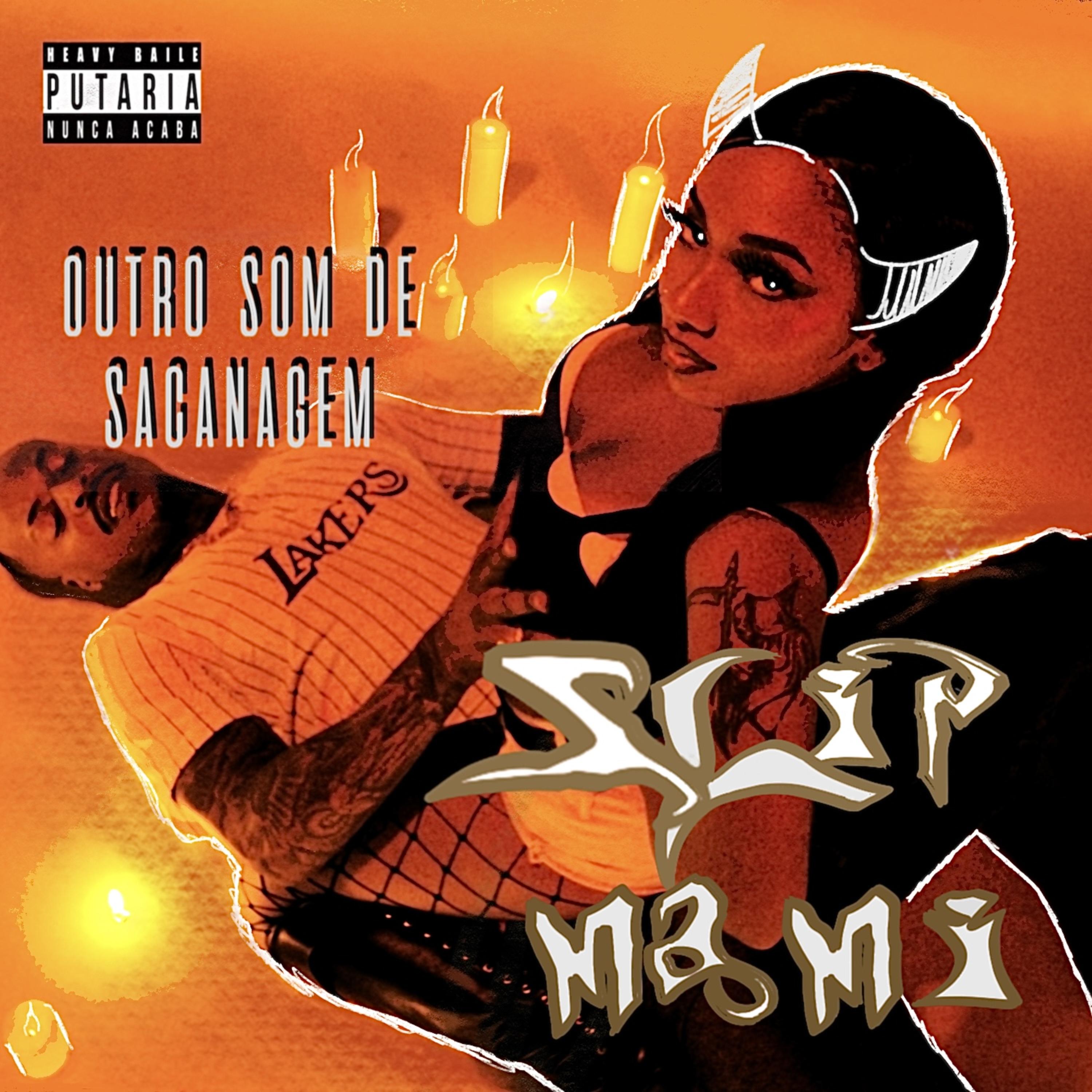 Outro Som de Sacanagem artwork