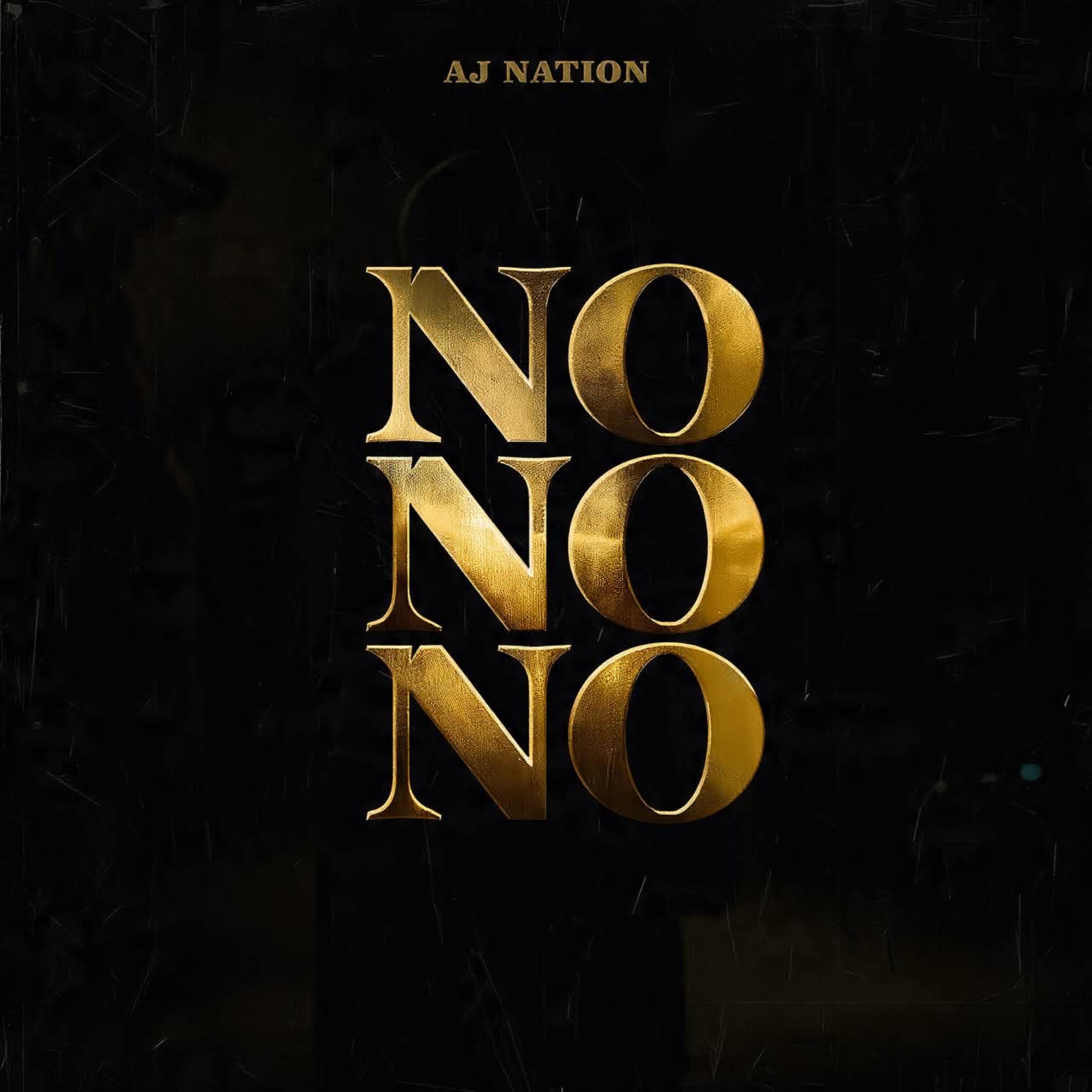 No No No by AJ Nation cover art