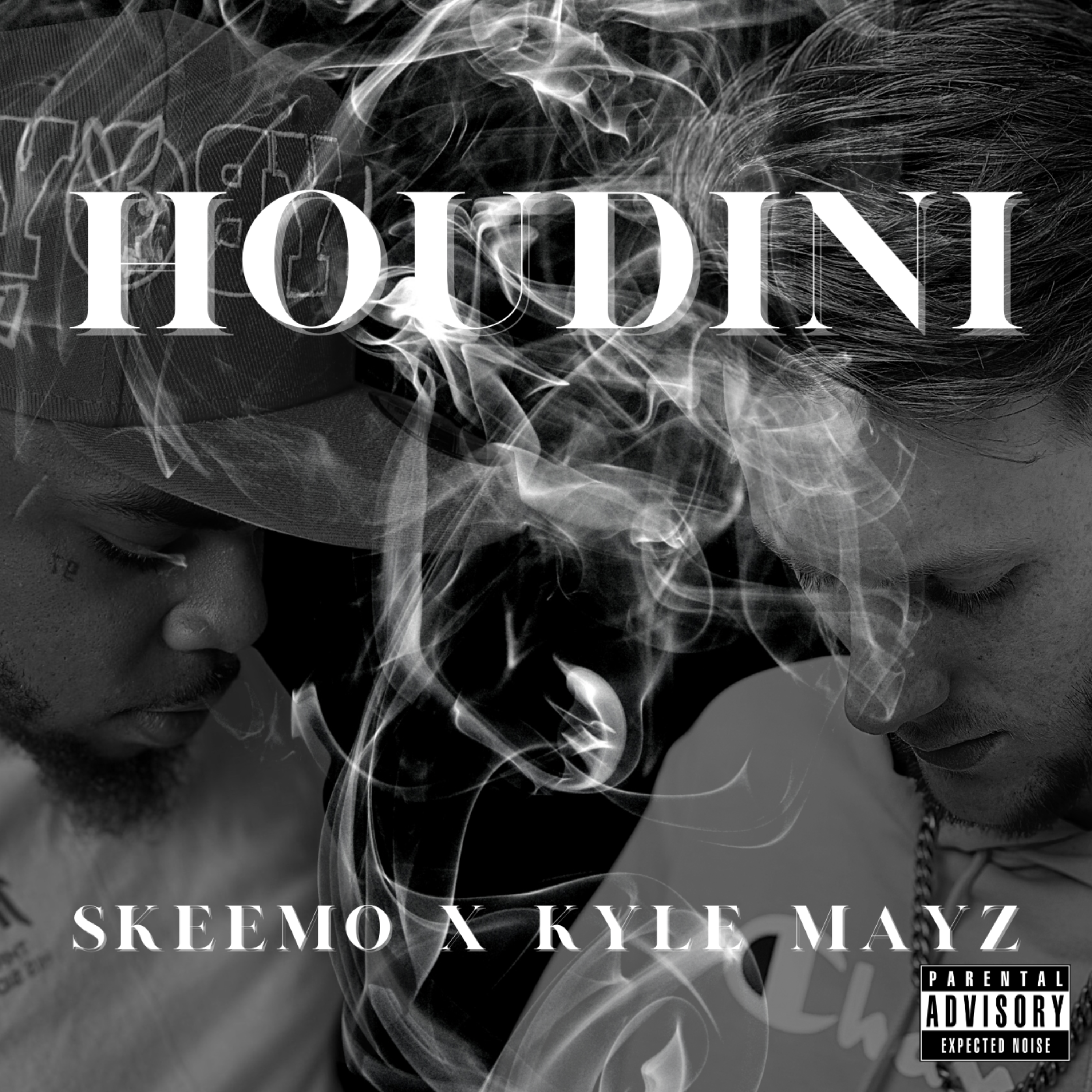 Houdini artwork