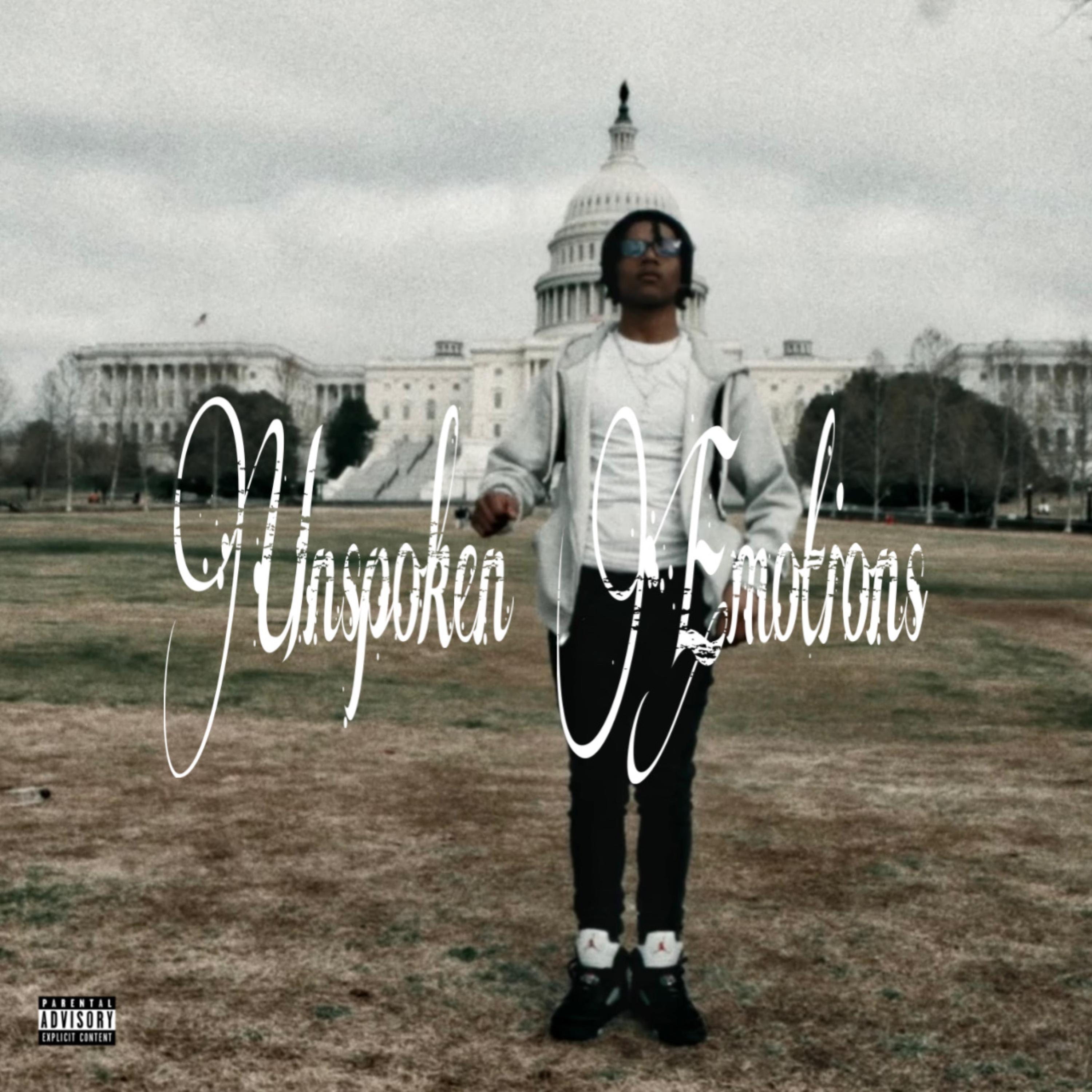 Unspoken Emotions artwork