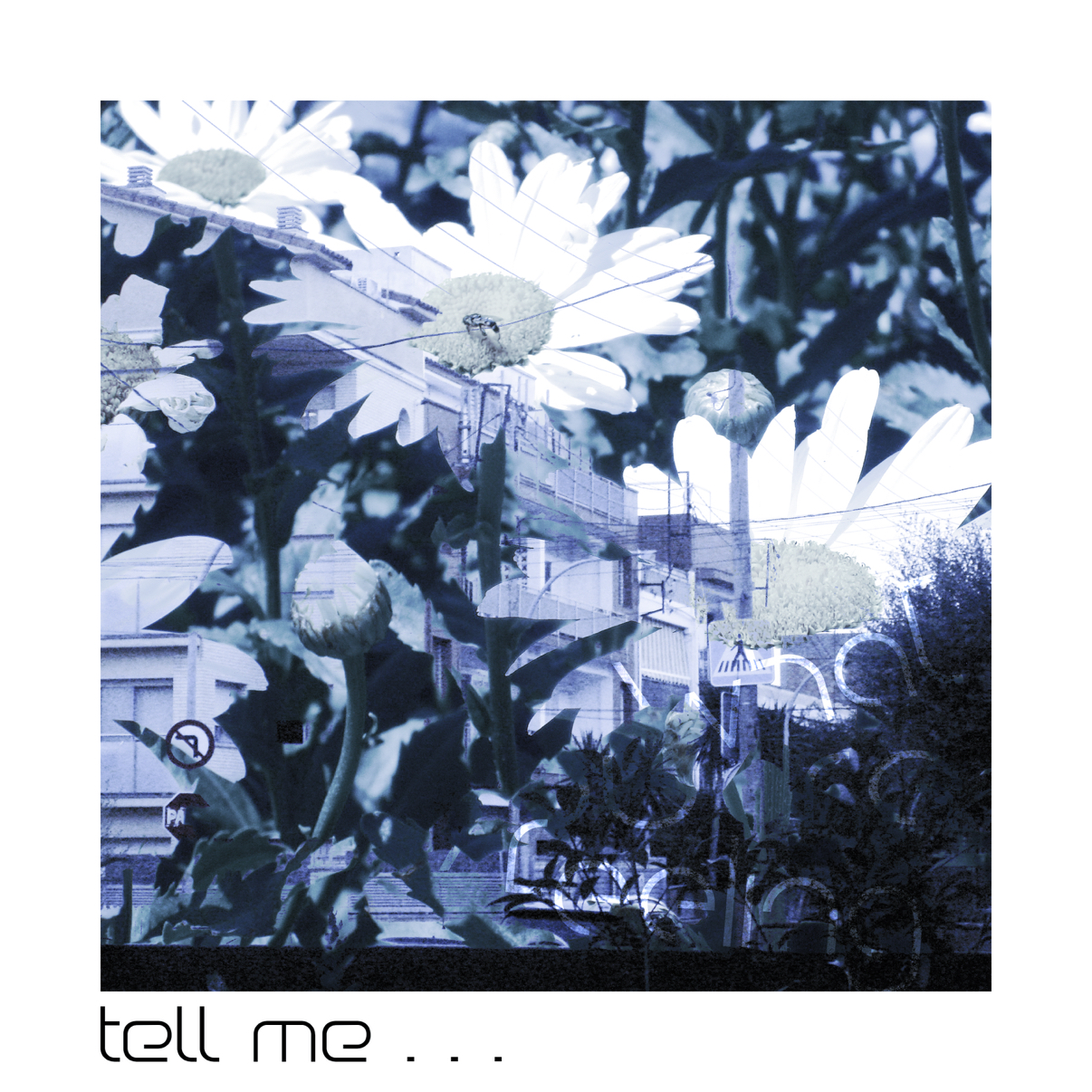last_september