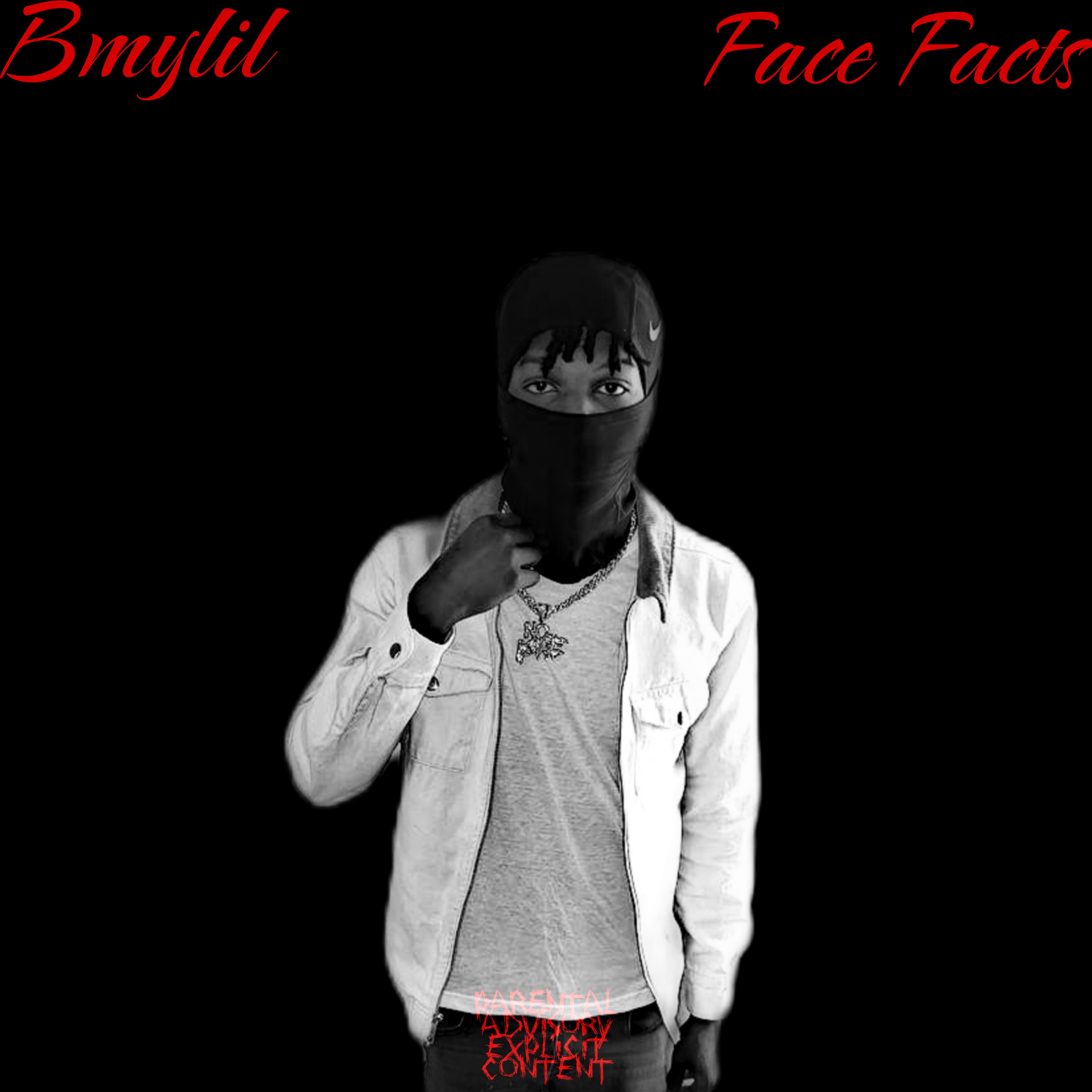 Face Facts artwork