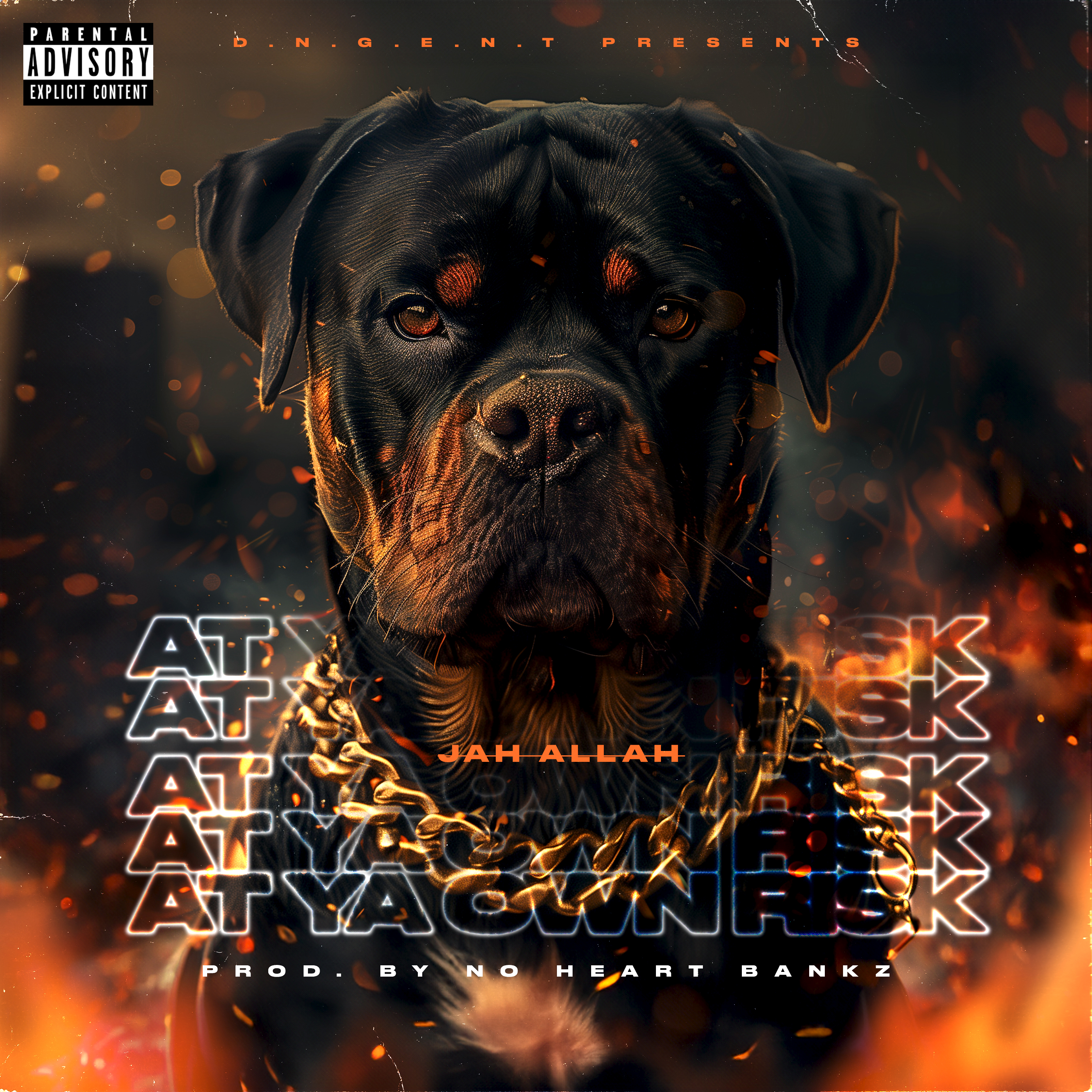 AT YA OWN RISK artwork