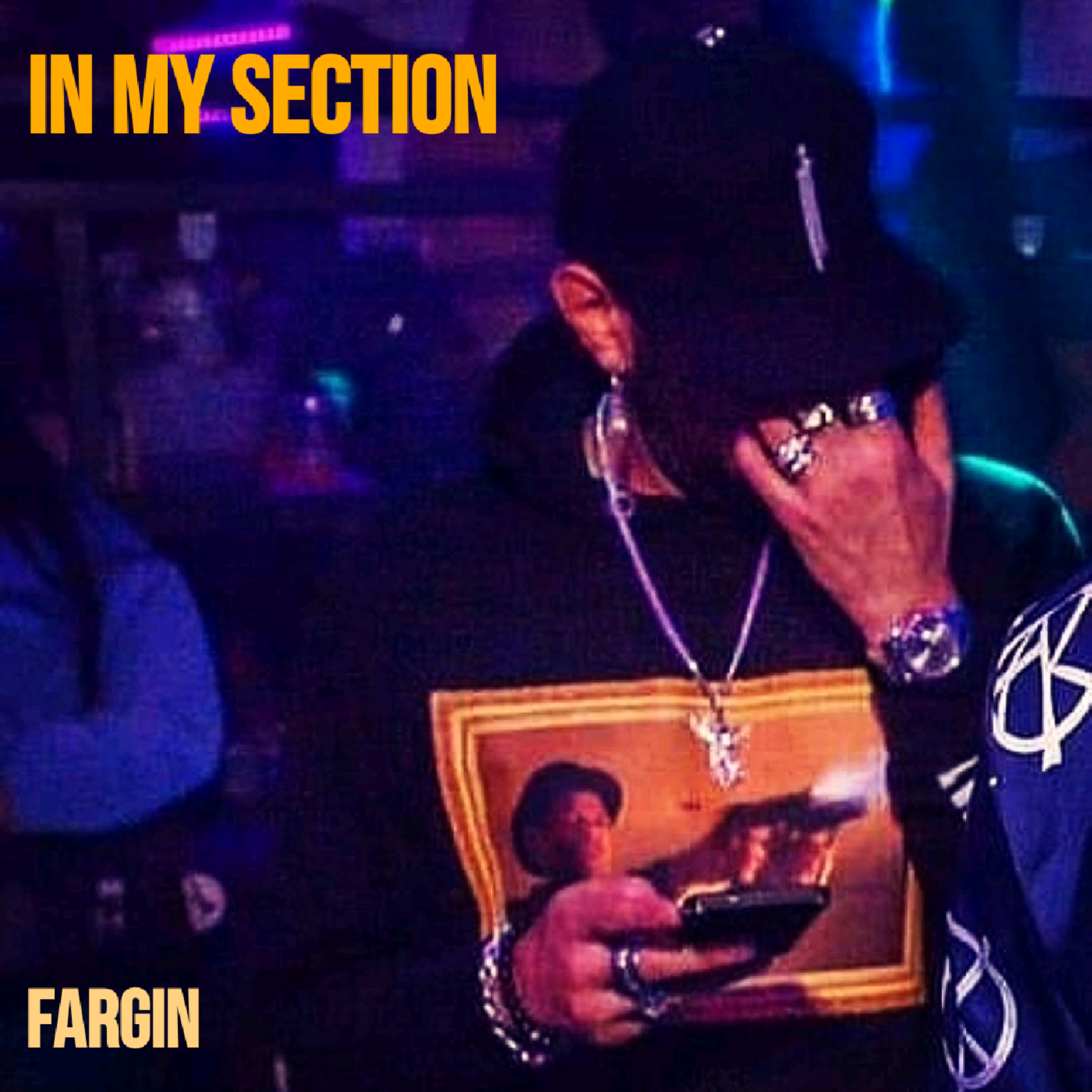 IN MY SECTION artwork