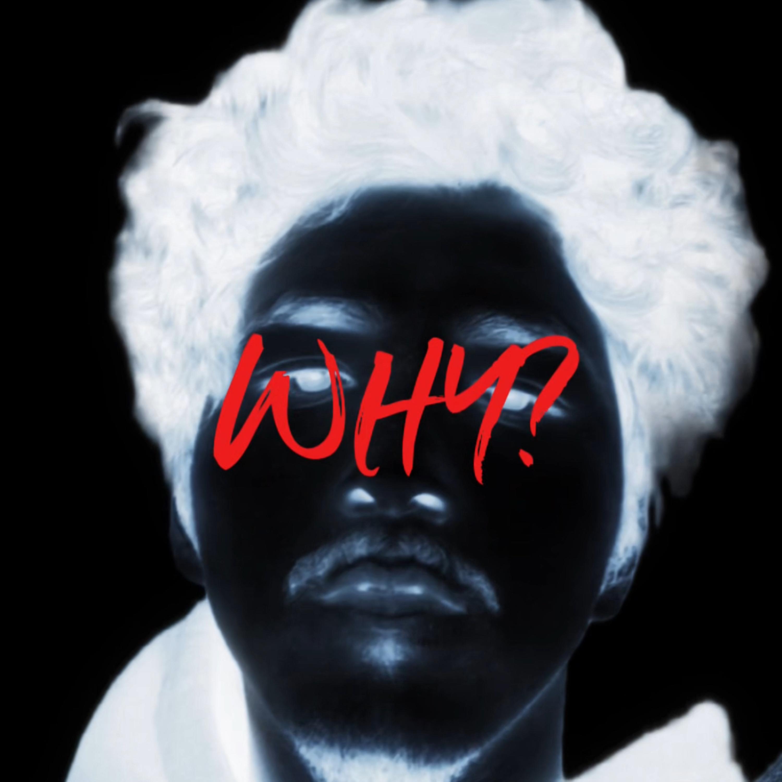 WHY? artwork