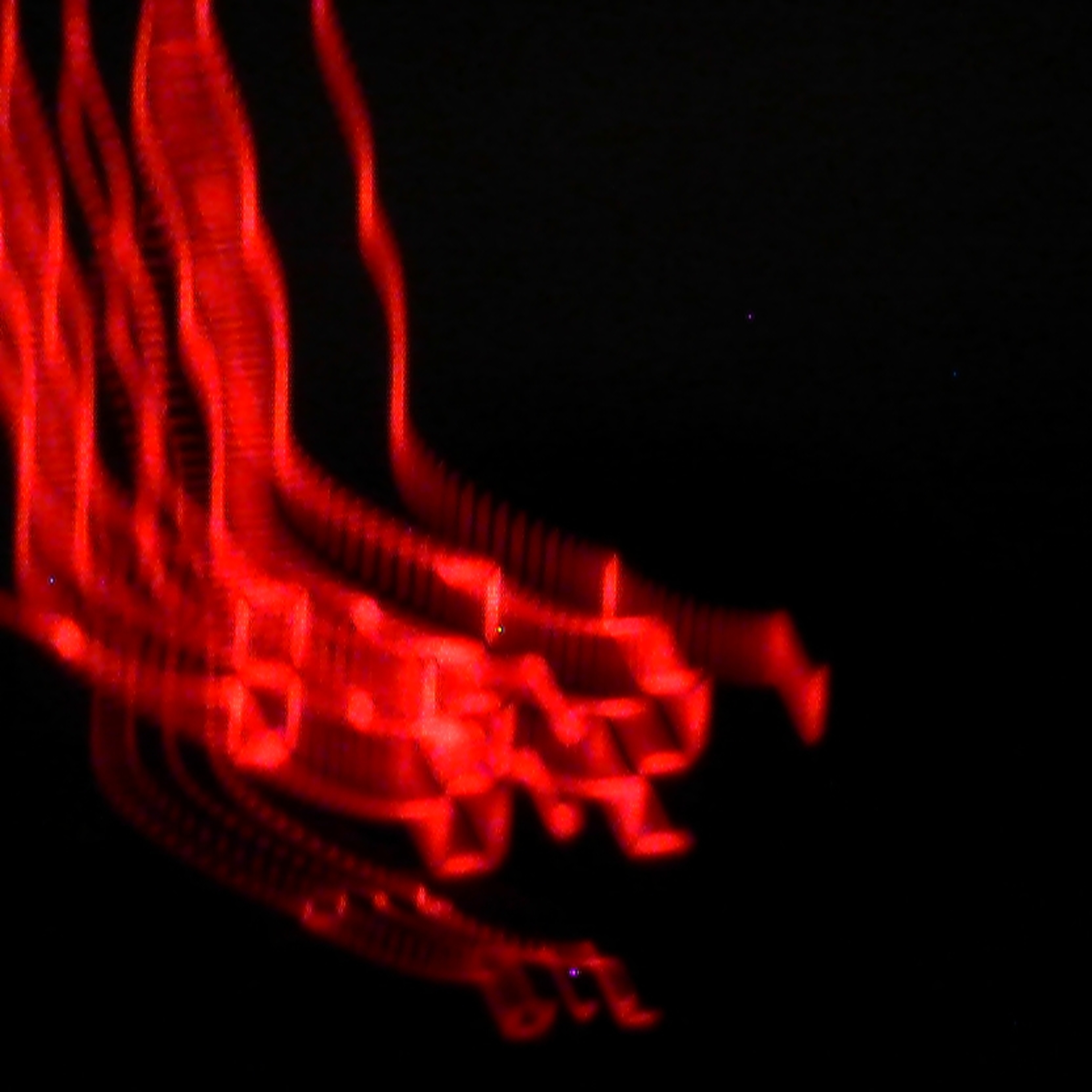 Night Talk artwork