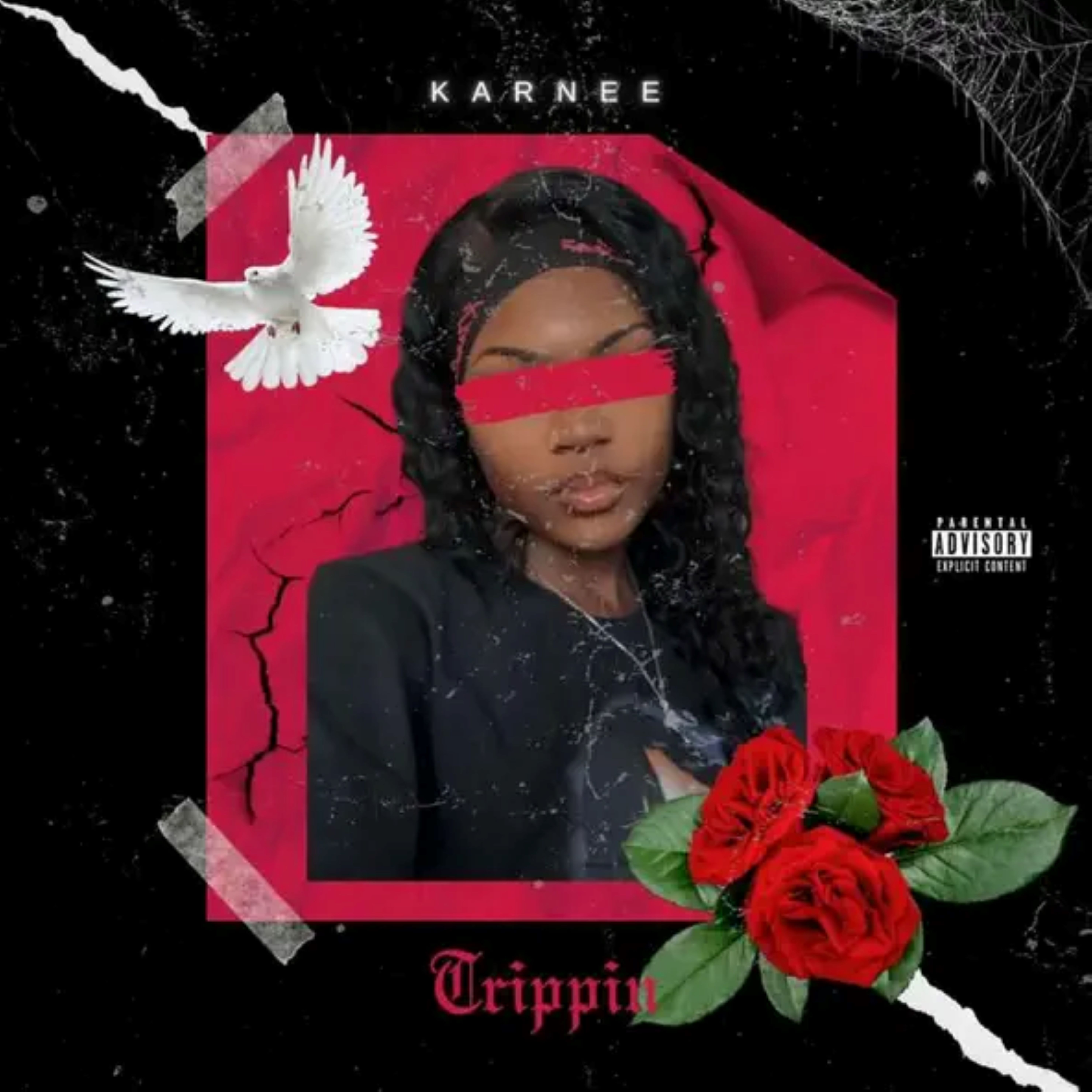 Trippin artwork