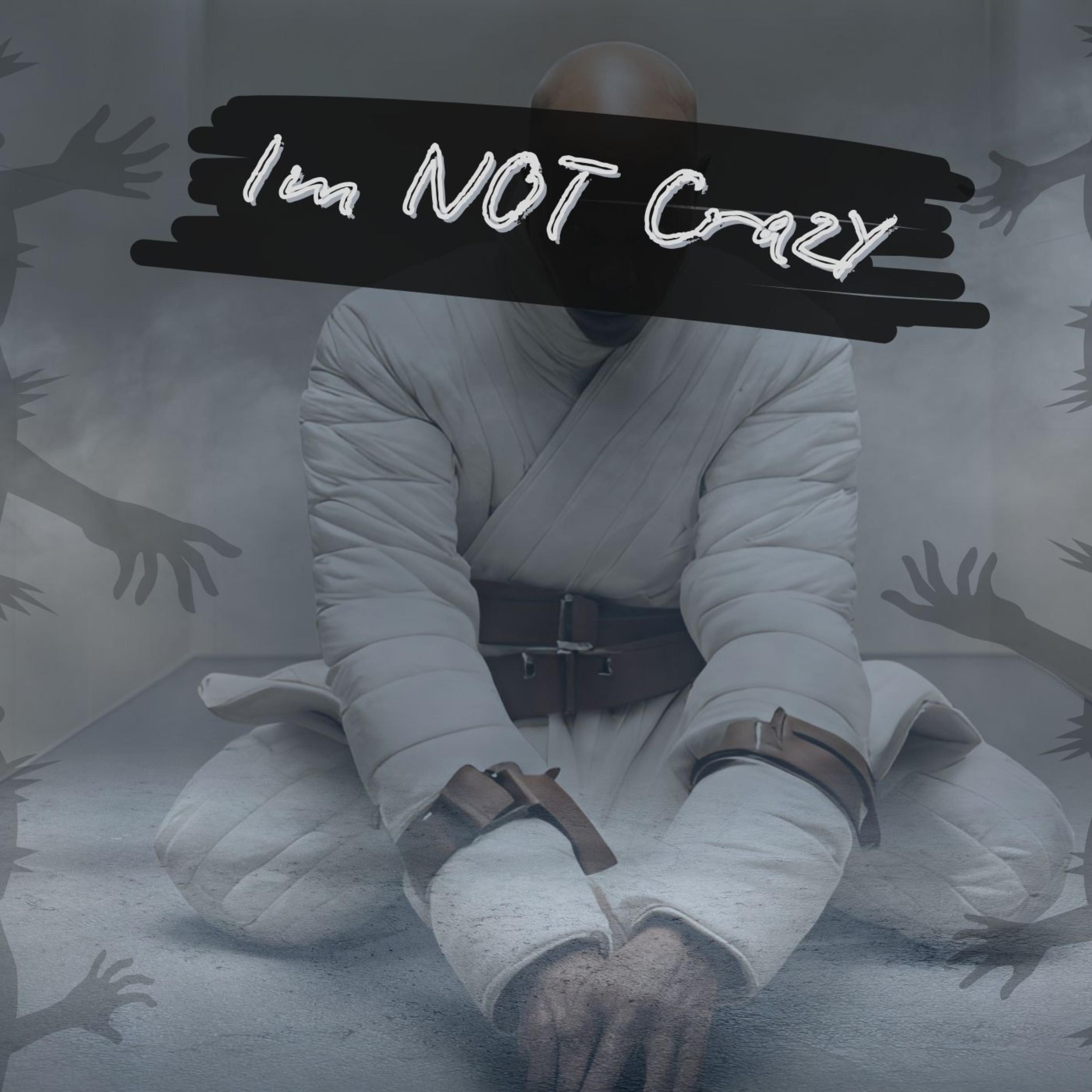 I'm Not Ctazy artwork