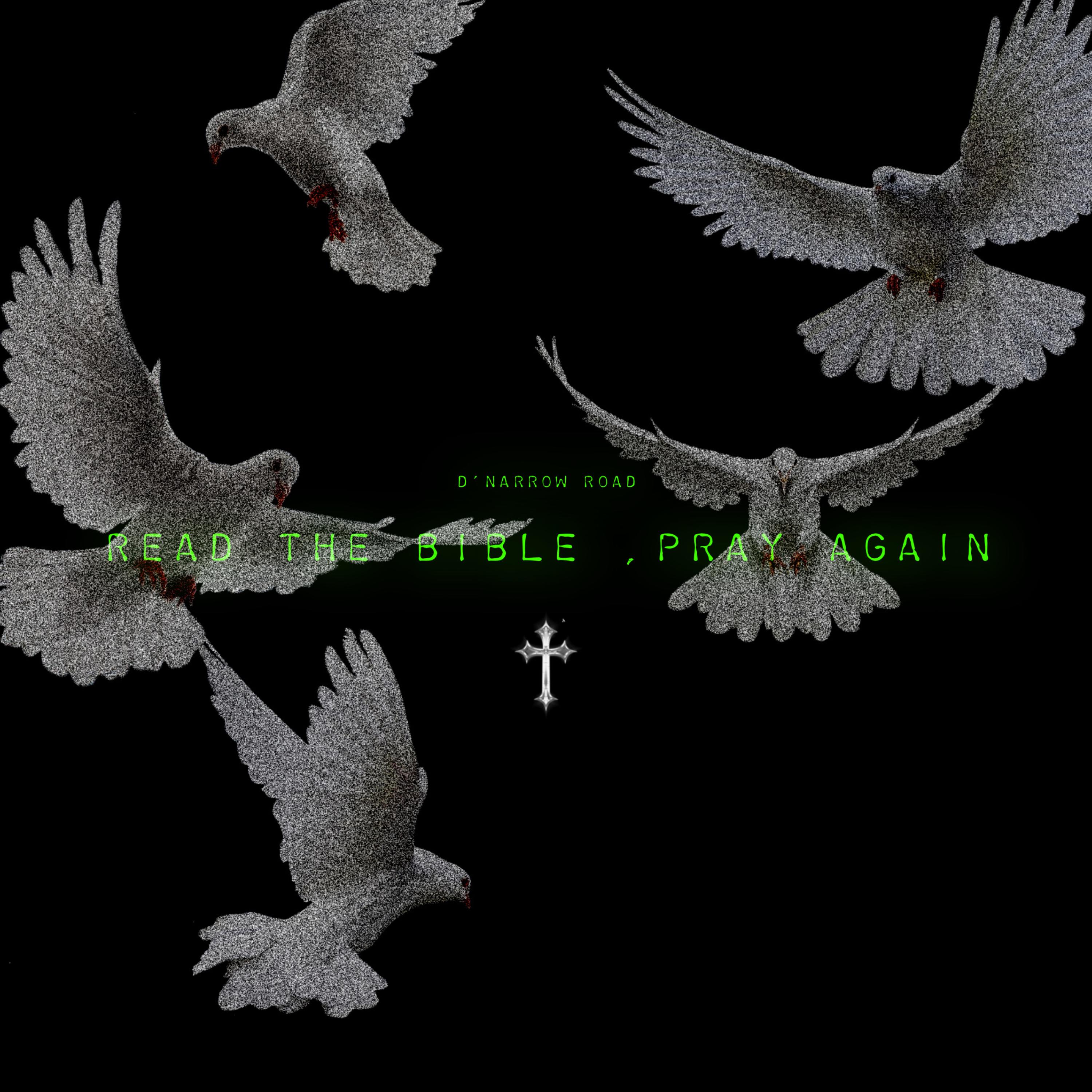 Read The Bible Pray Again artwork