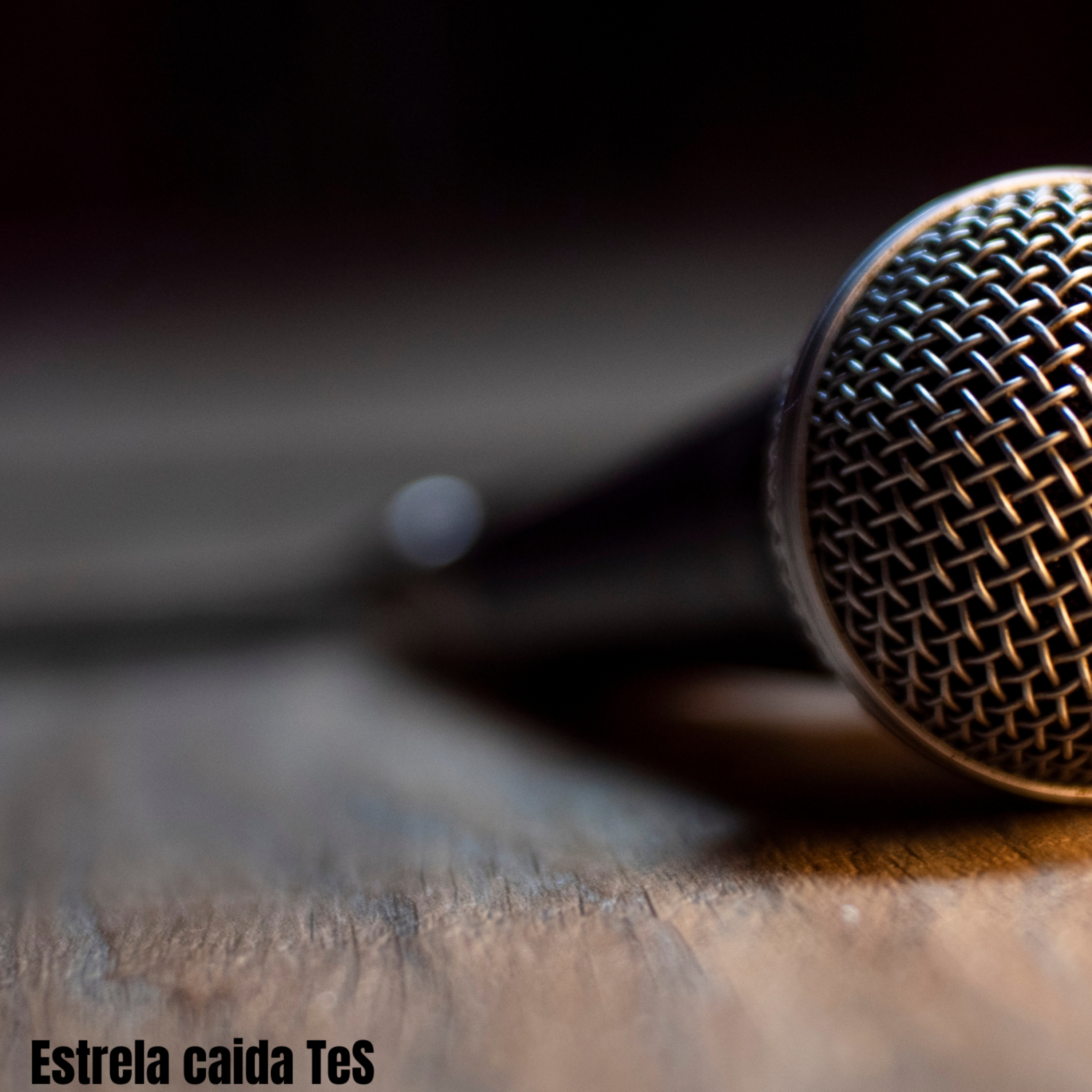Estrela caida TeS artwork