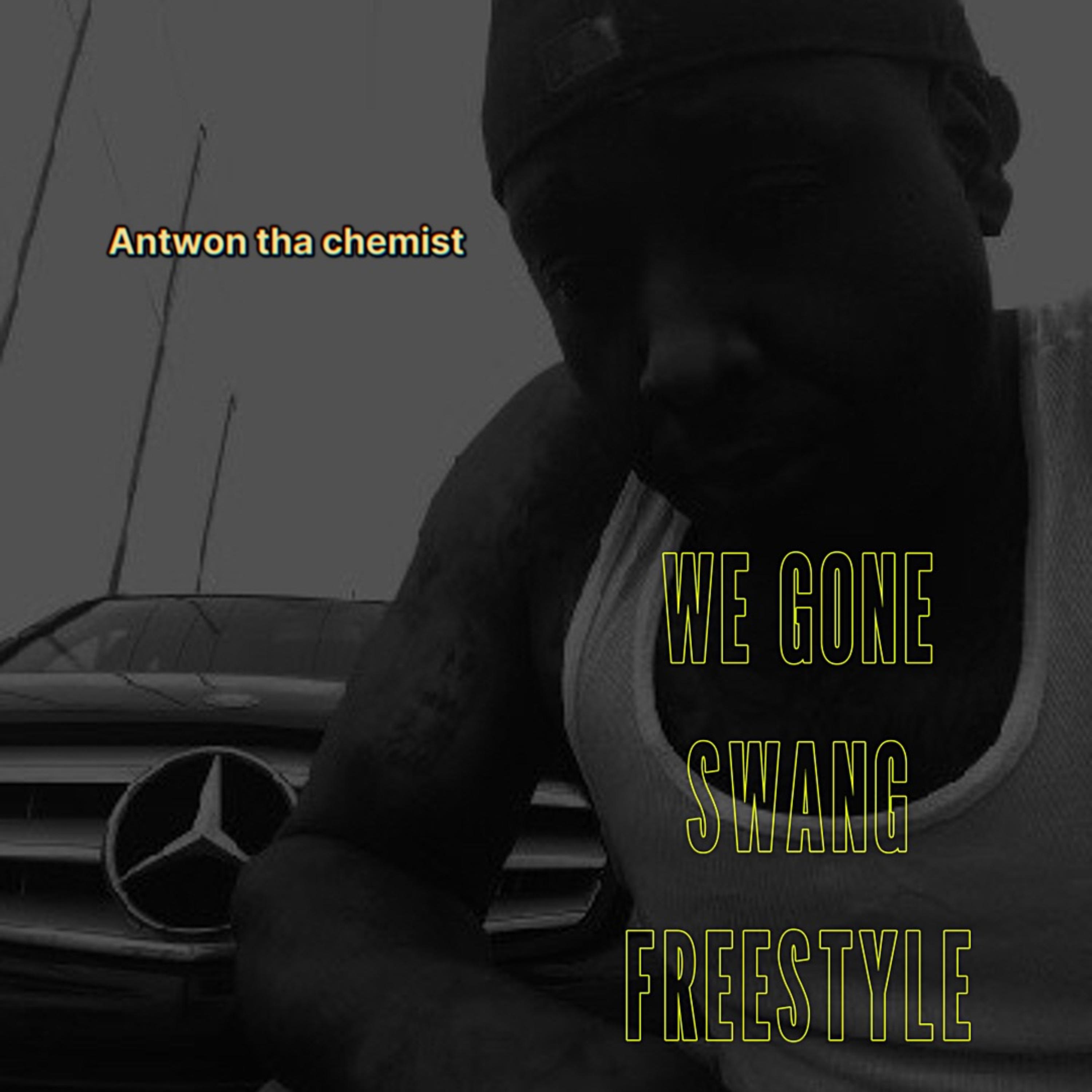 We Gone Swang Freestyle artwork