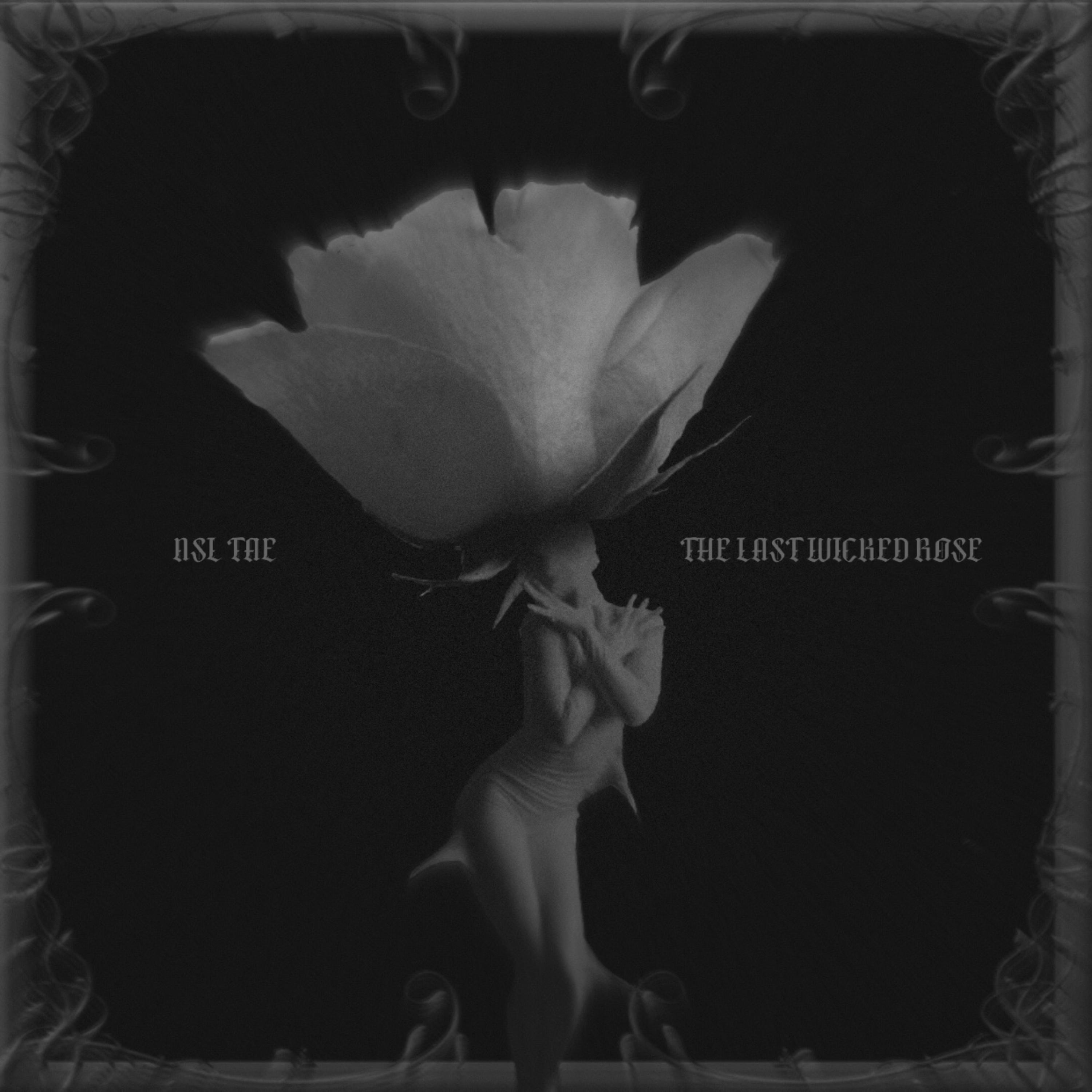 The Last Wicked Rose artwork