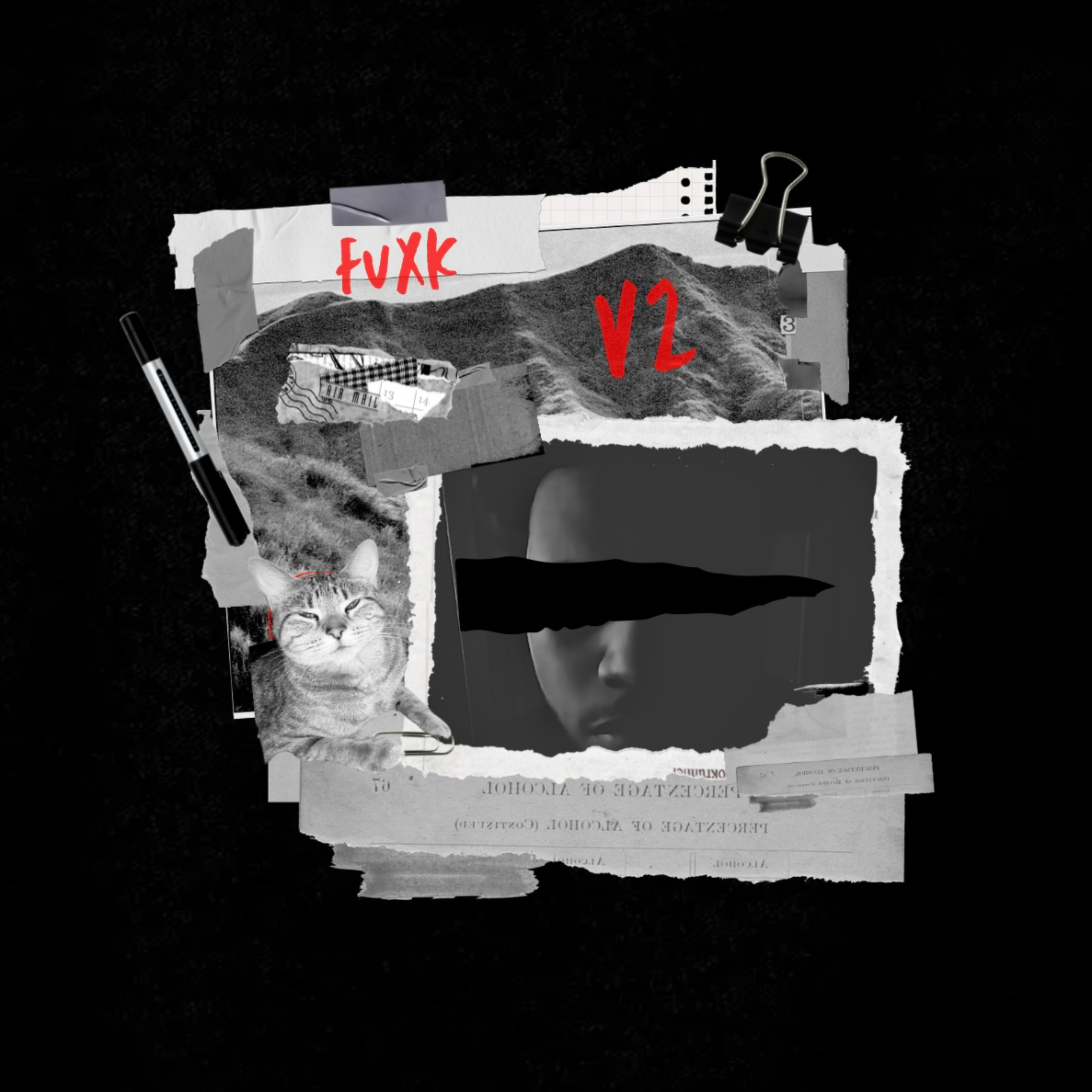 FUXK V2 artwork