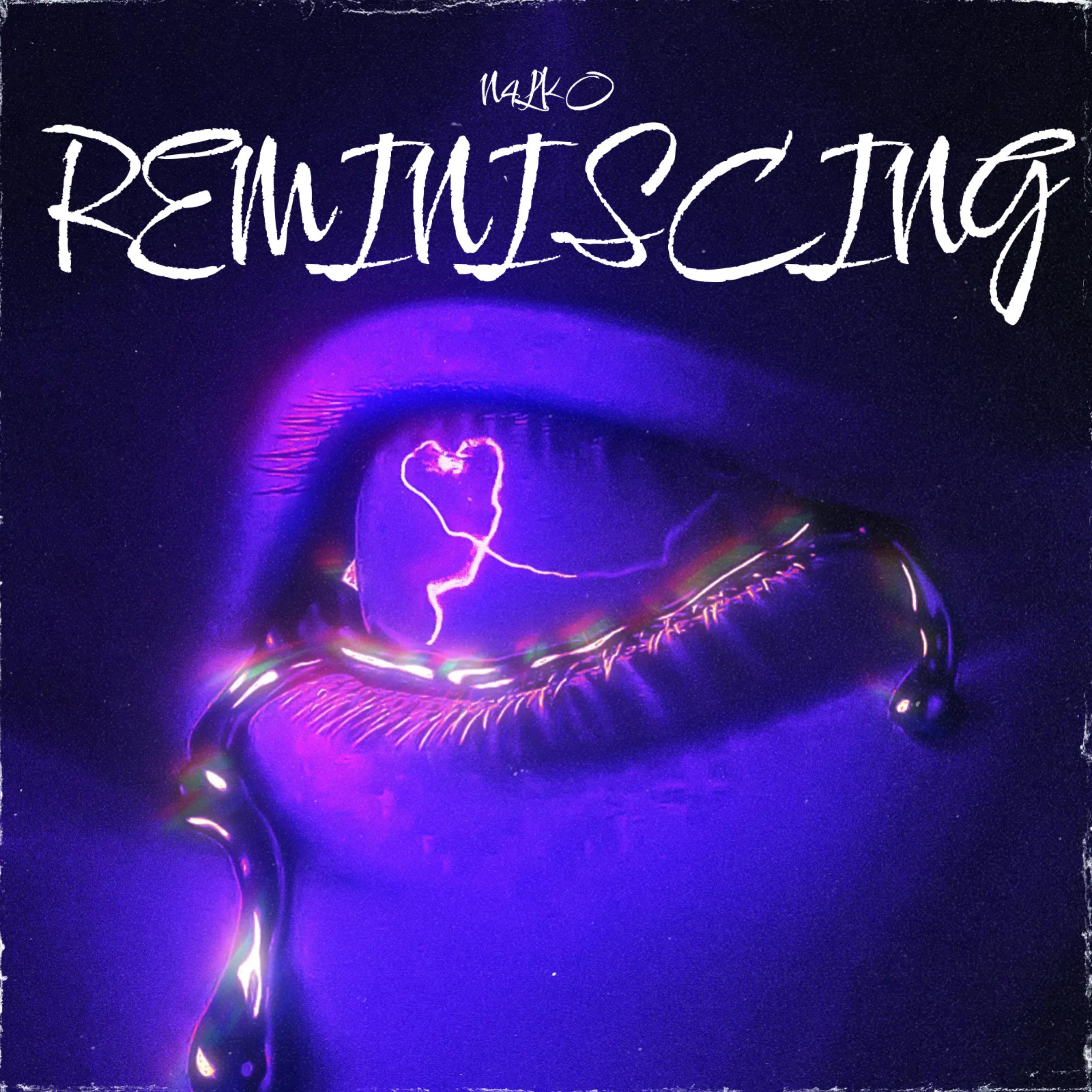 REMINISCING artwork