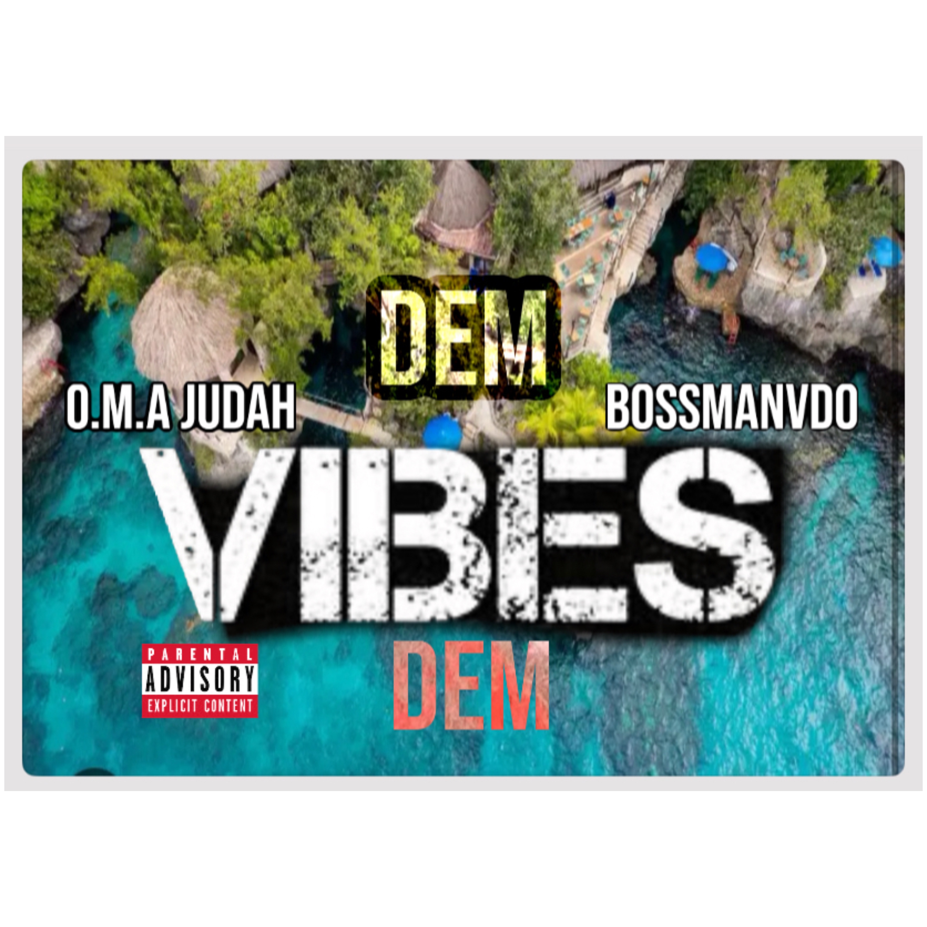 Dem Vibes Dem artwork