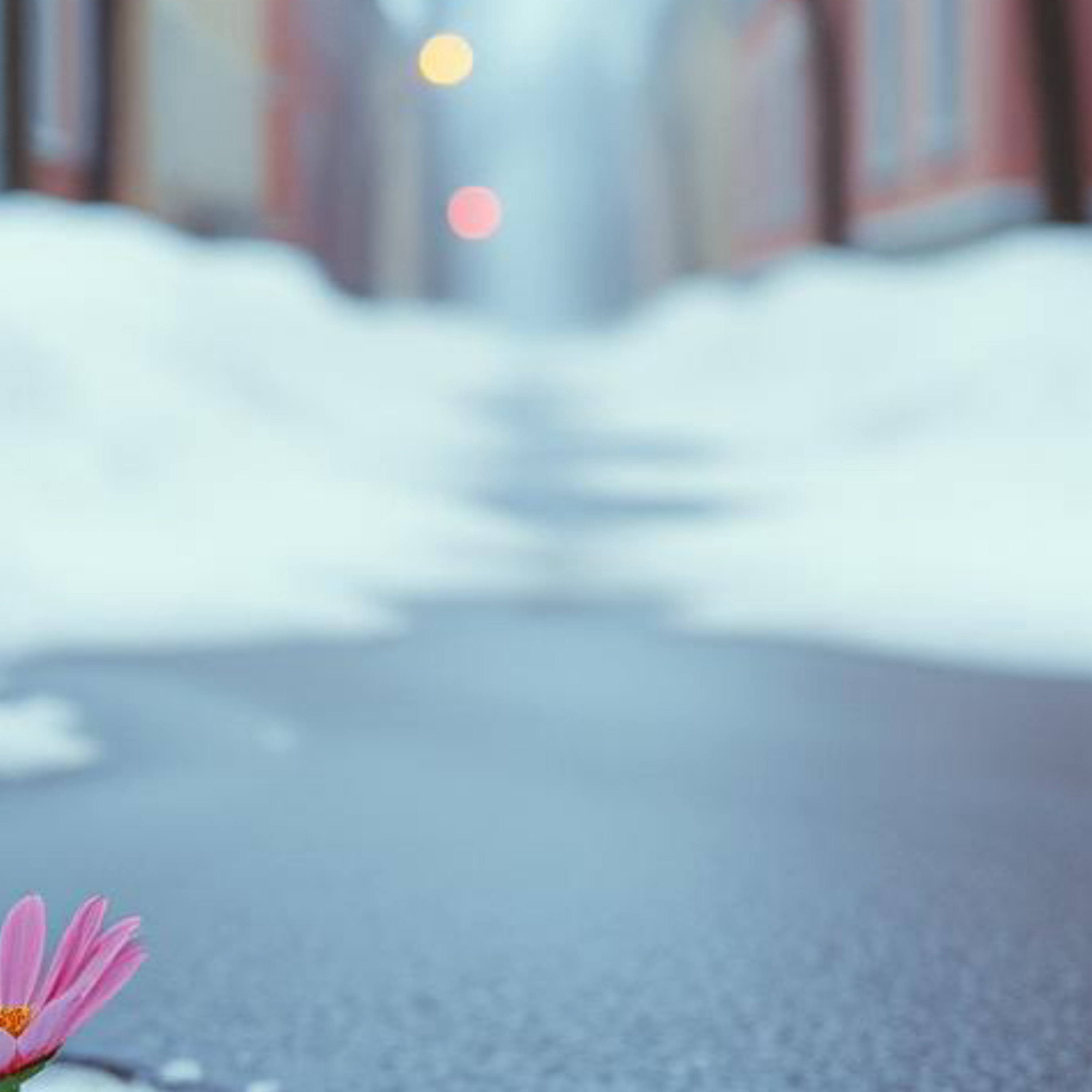 Different Kind Of Love artwork