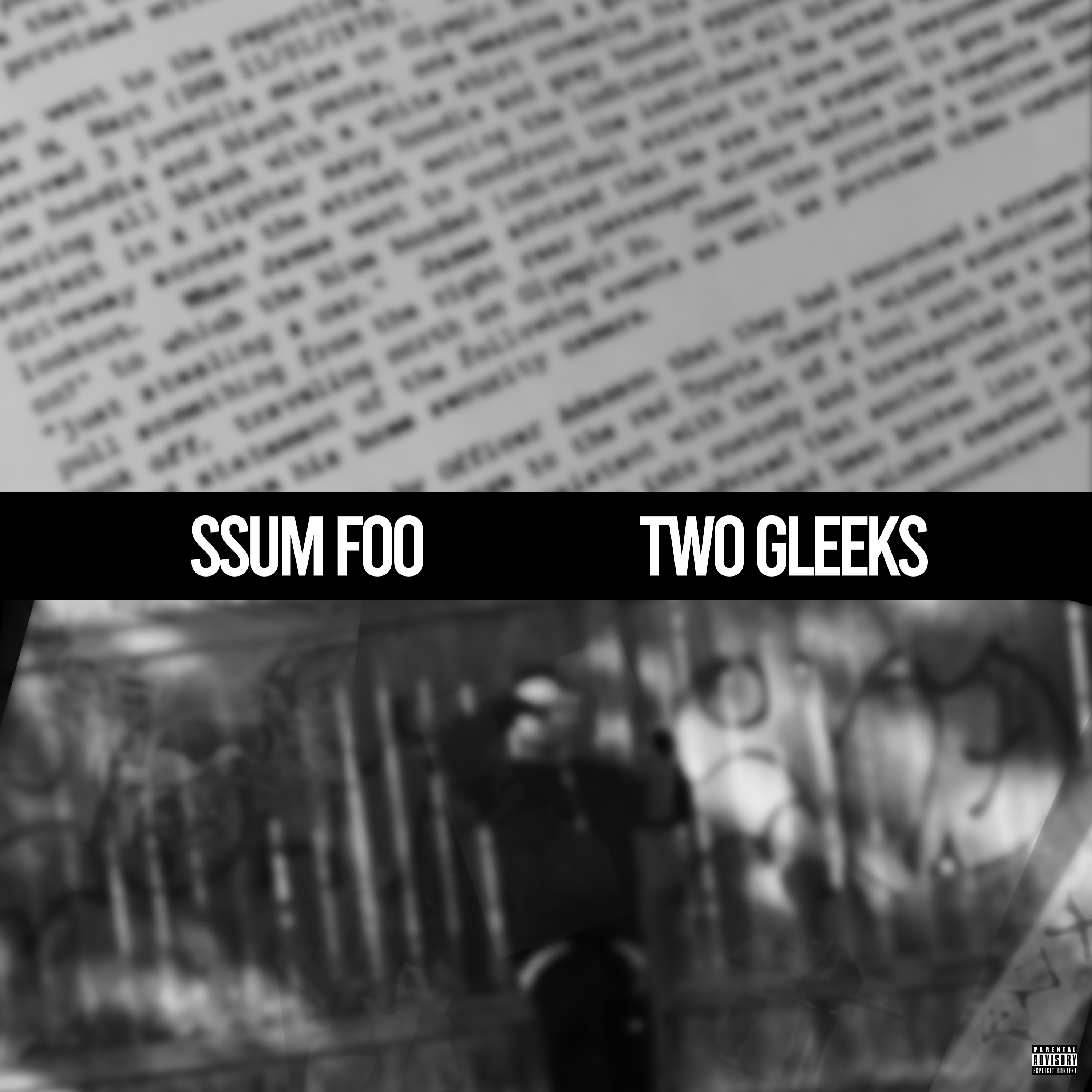 Two Gleeks artwork