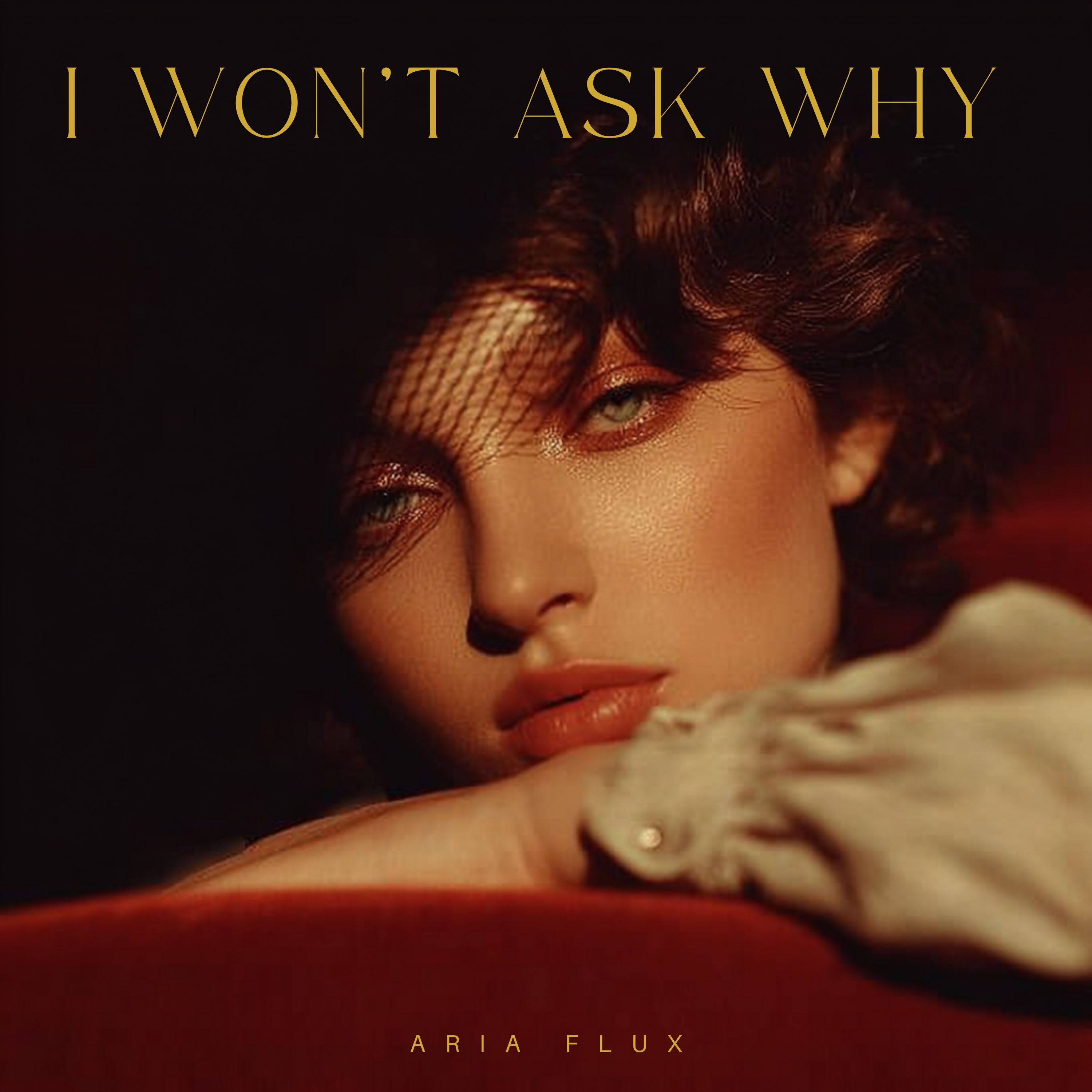 I Won’t Ask Why artwork