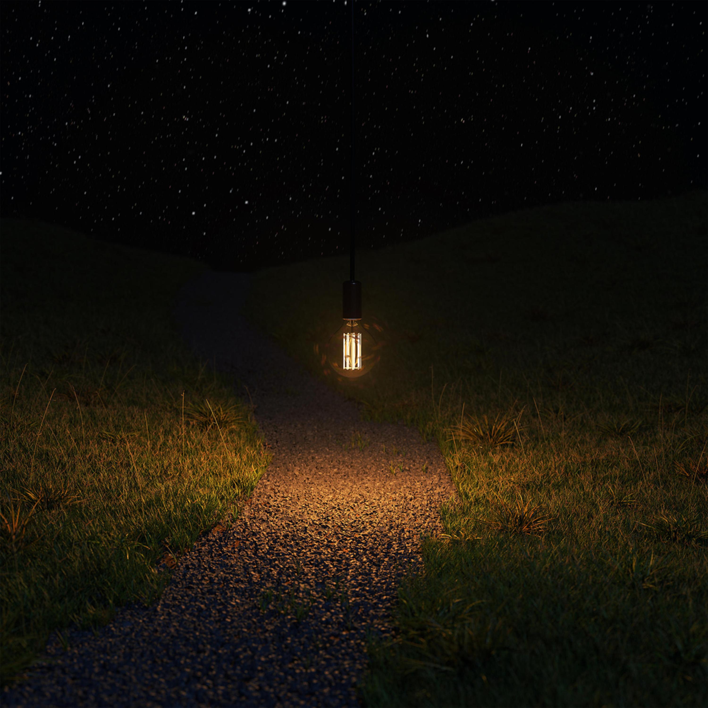 Noche Loca artwork