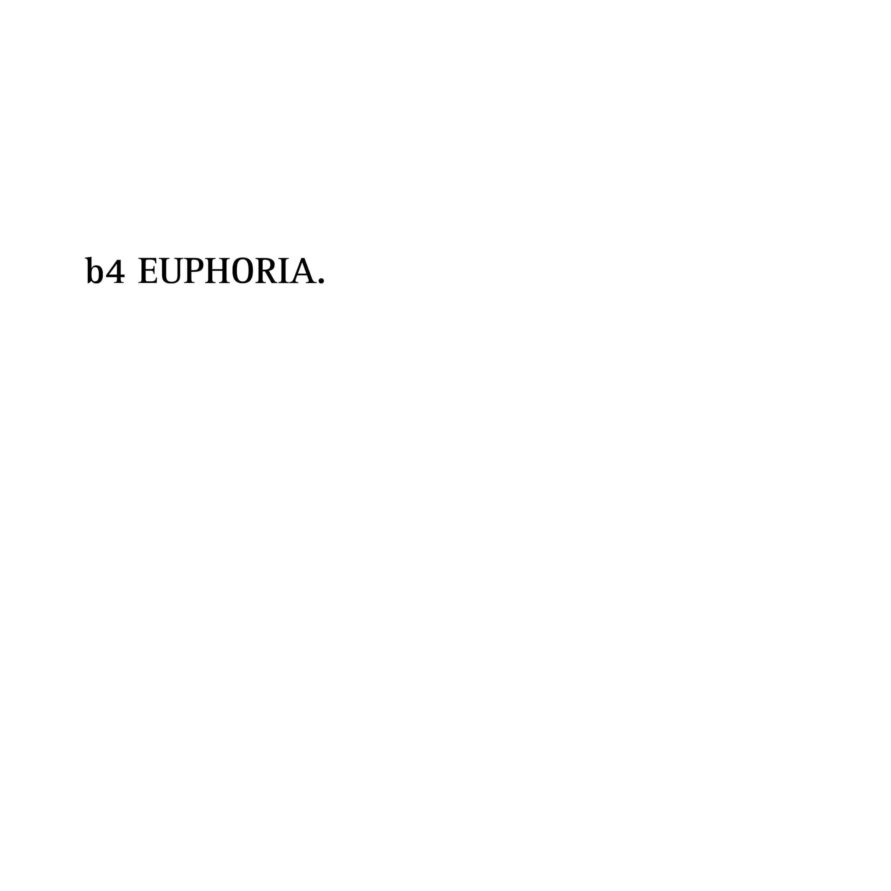 B4EUPHORIA. artwork