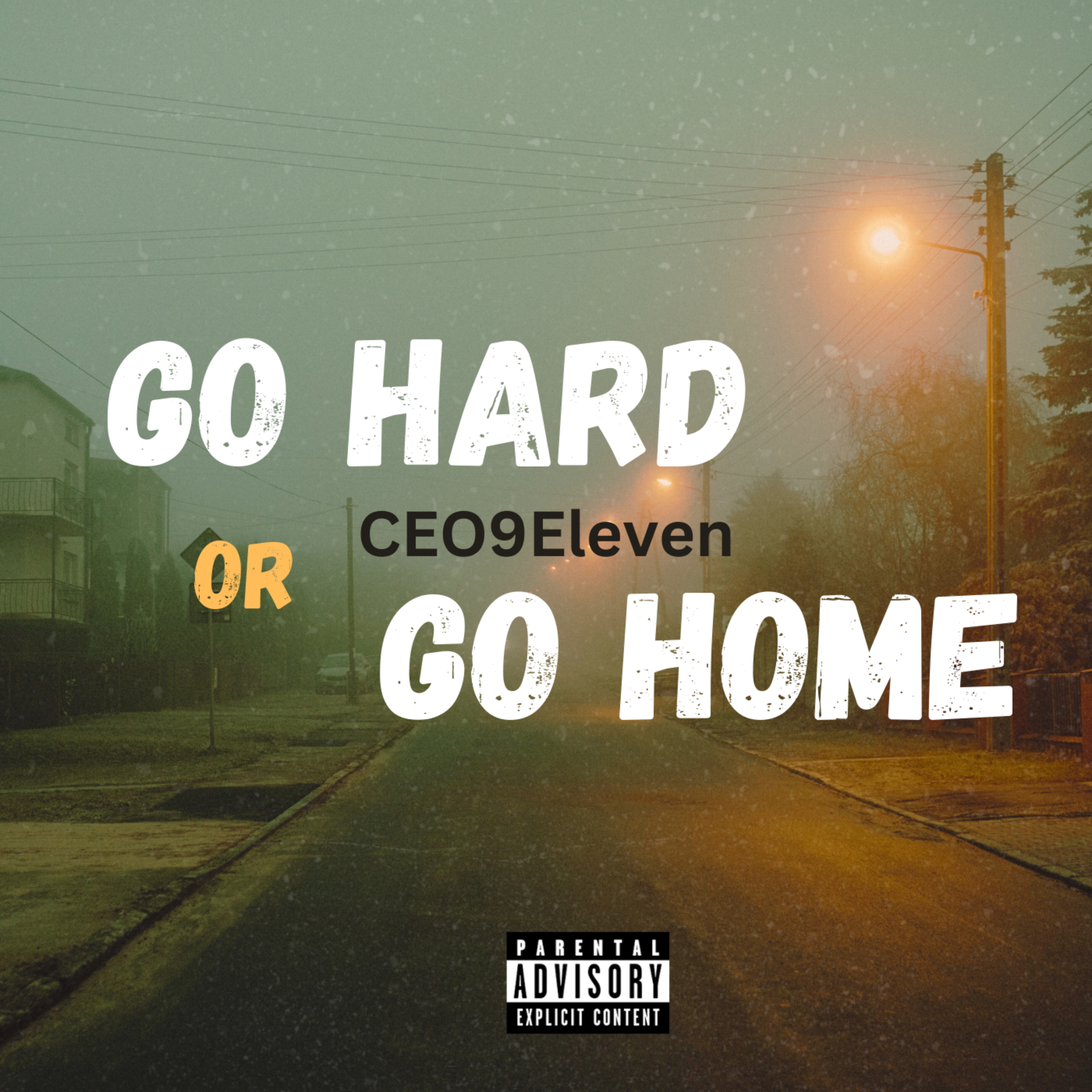 GO HARD OR GO HOME artwork