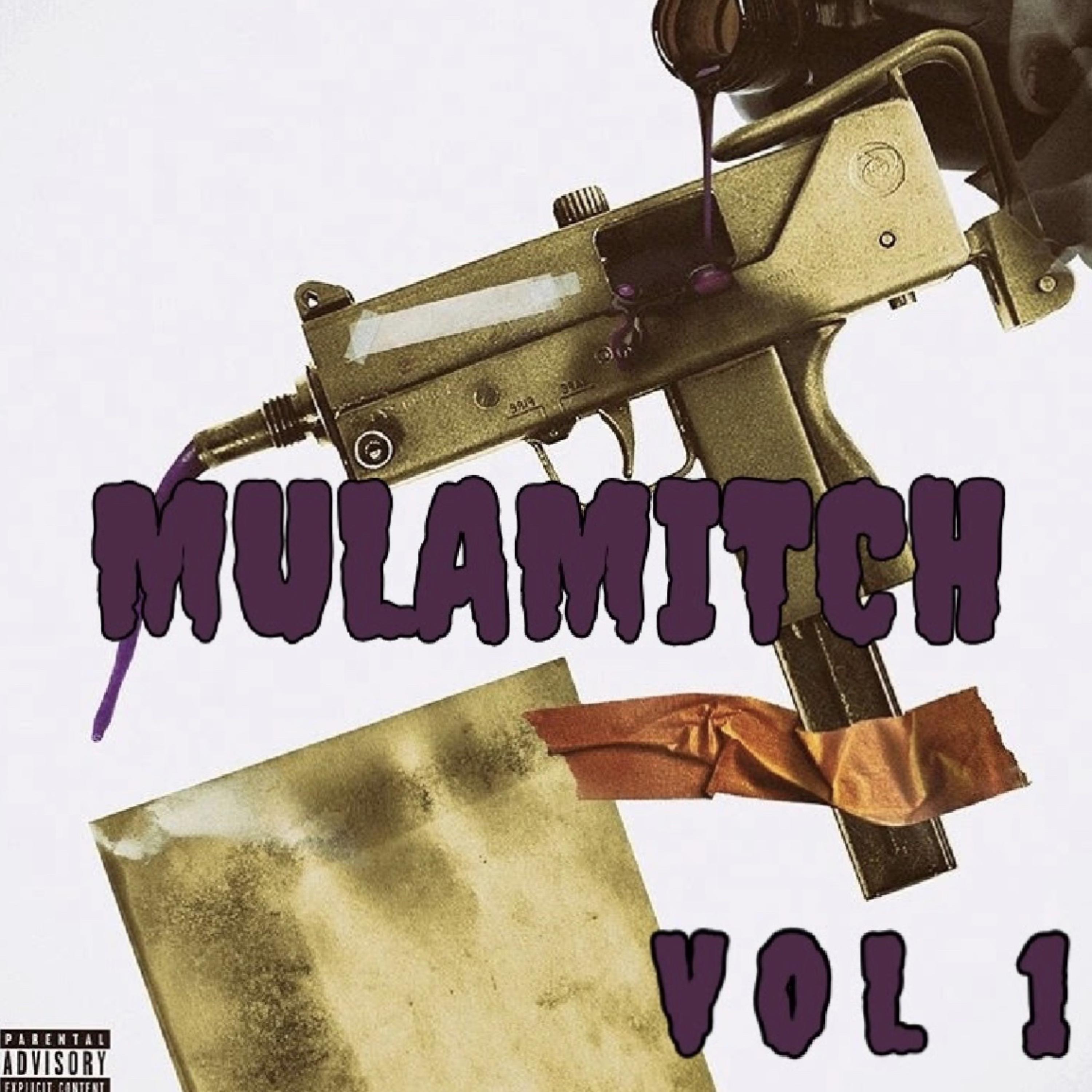Vol 1 by Mula Mitch cover art