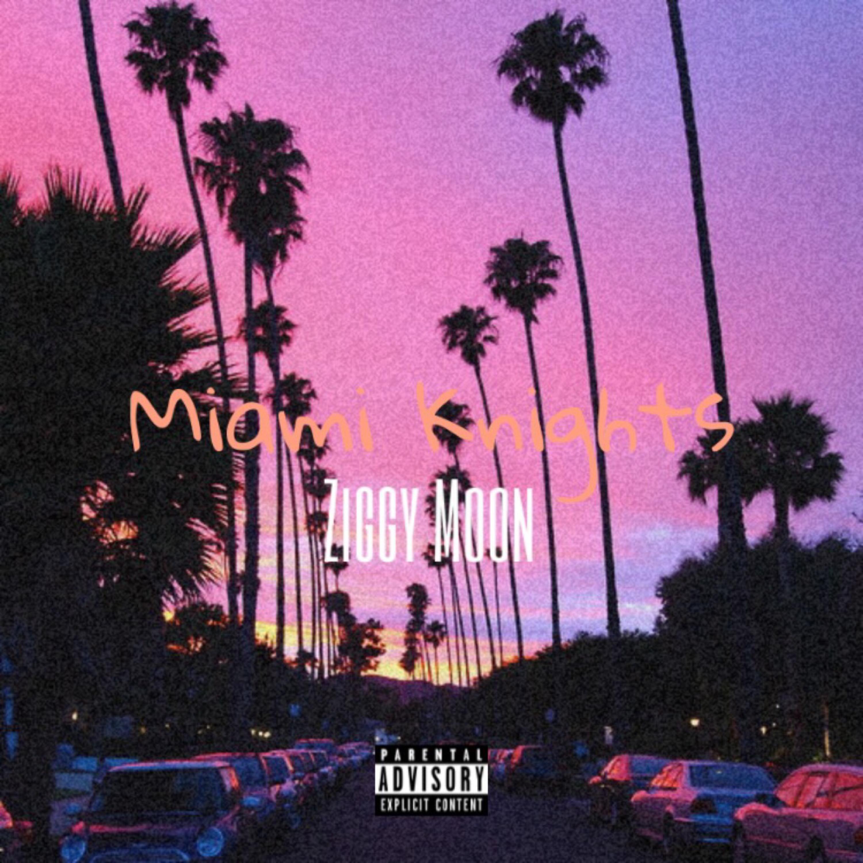 Miami Knights artwork