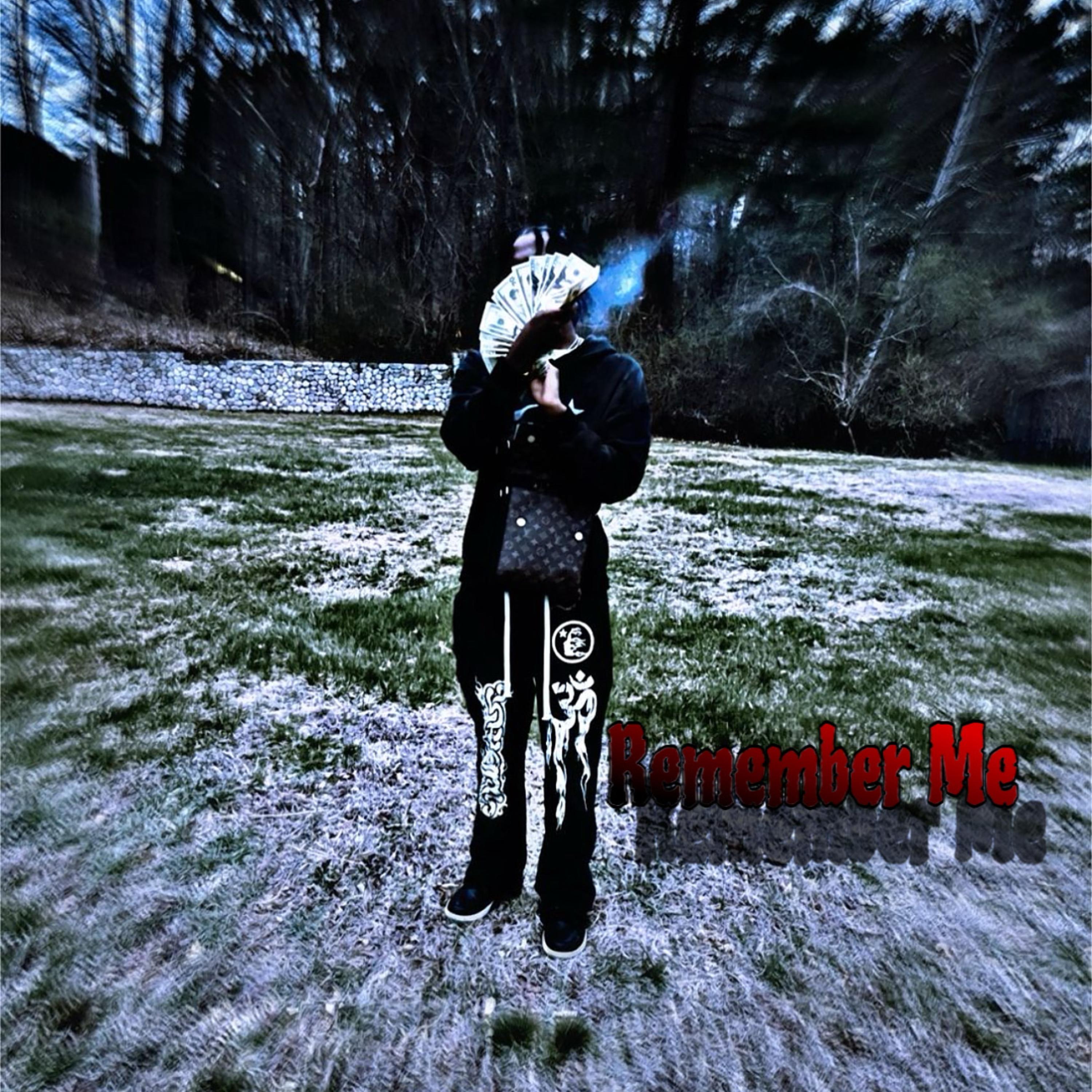 Remember Me artwork