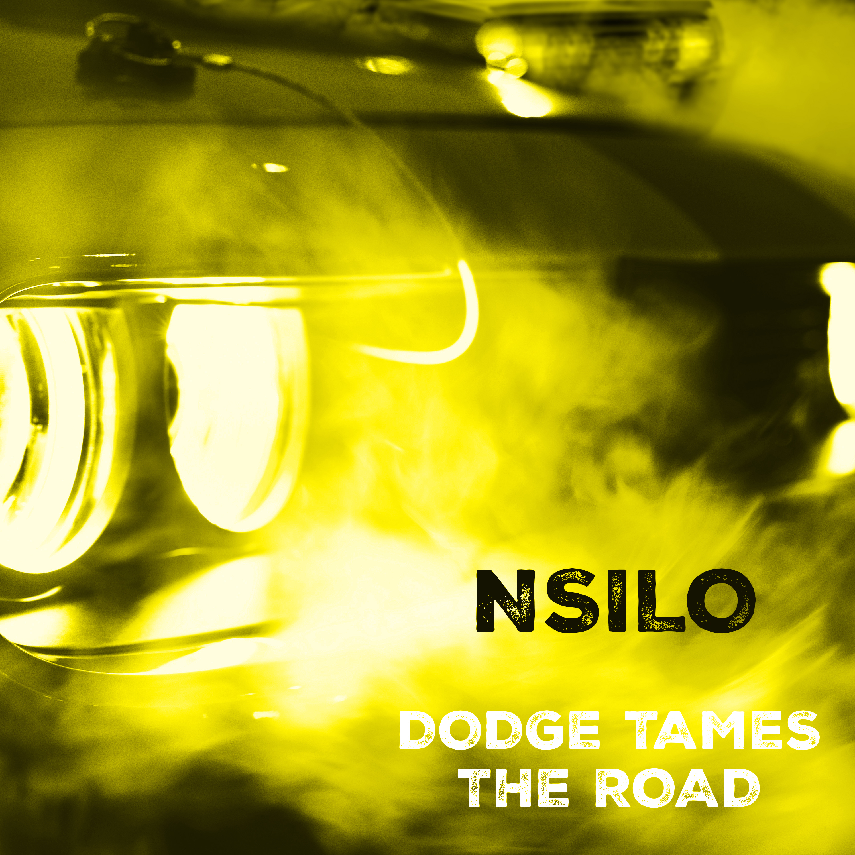 Dodge Tames The Road artwork