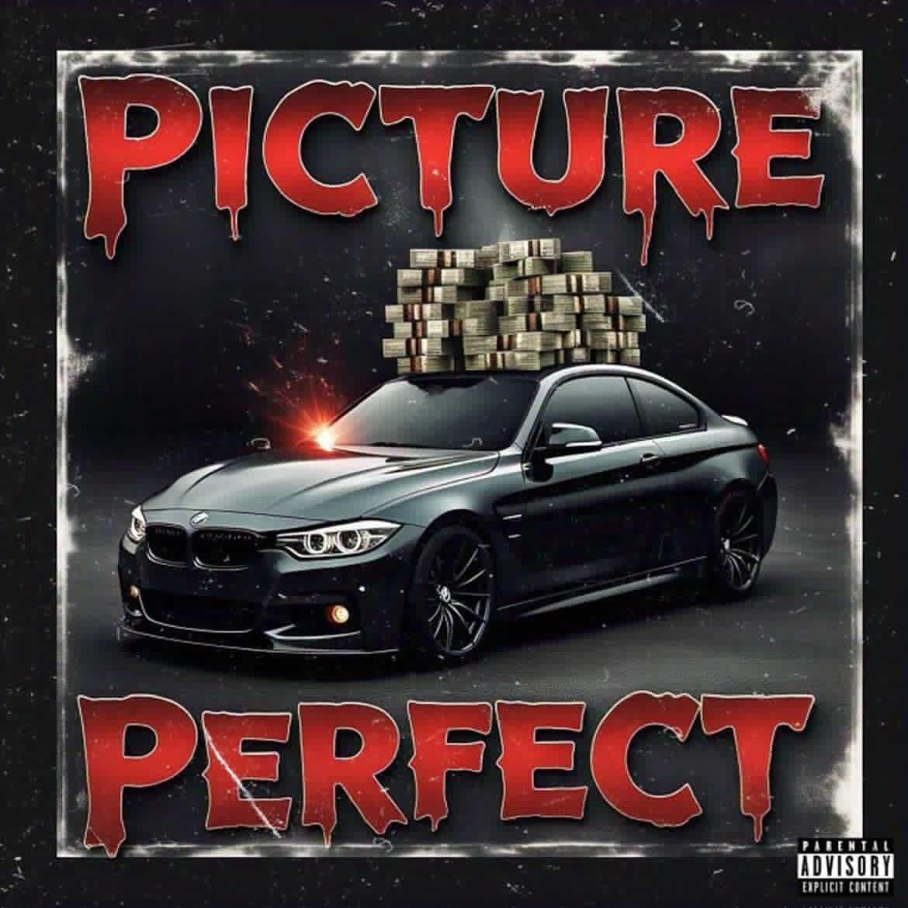 Picture Perfect artwork