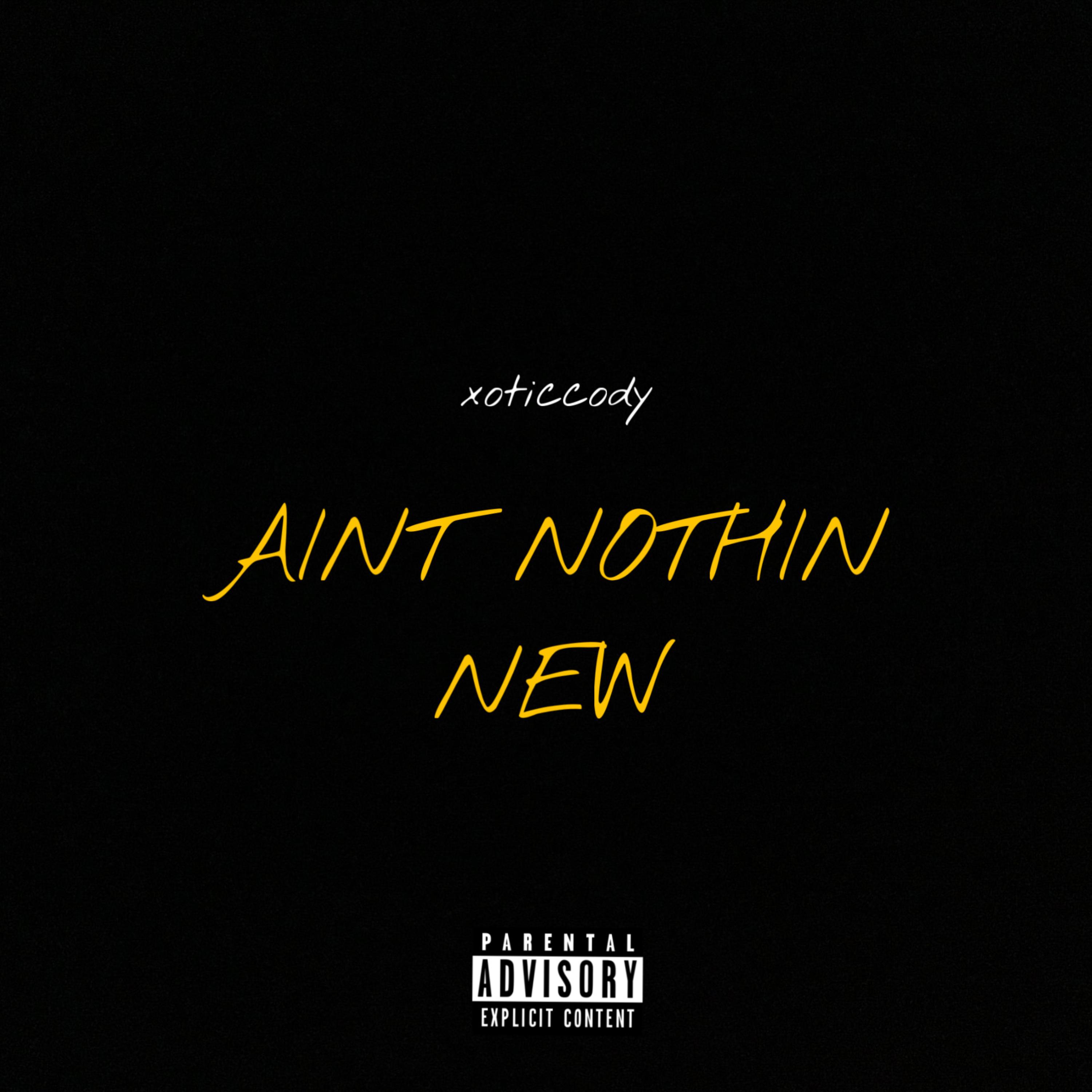 AIN’T NOTHIN NEW artwork