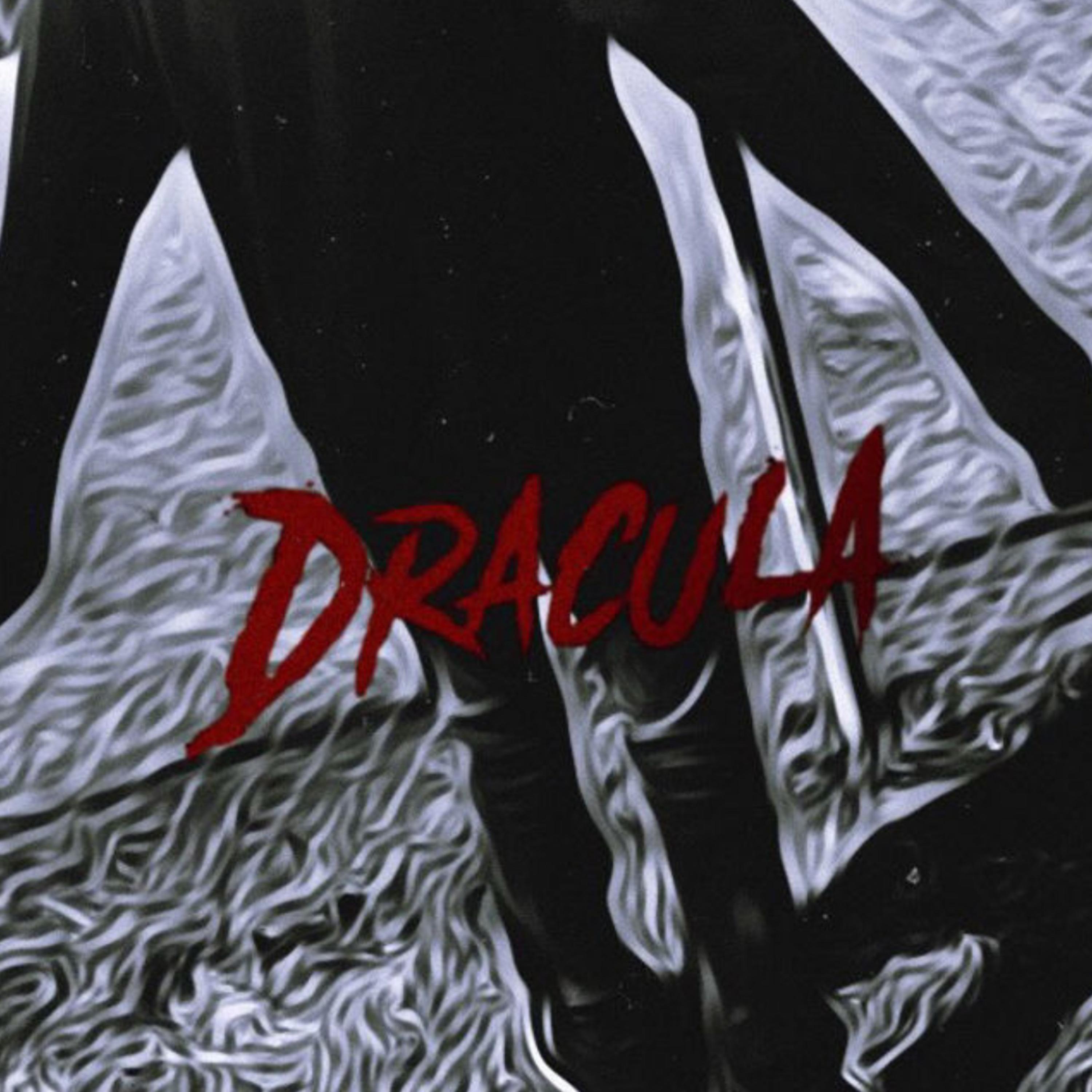PV5 artwork