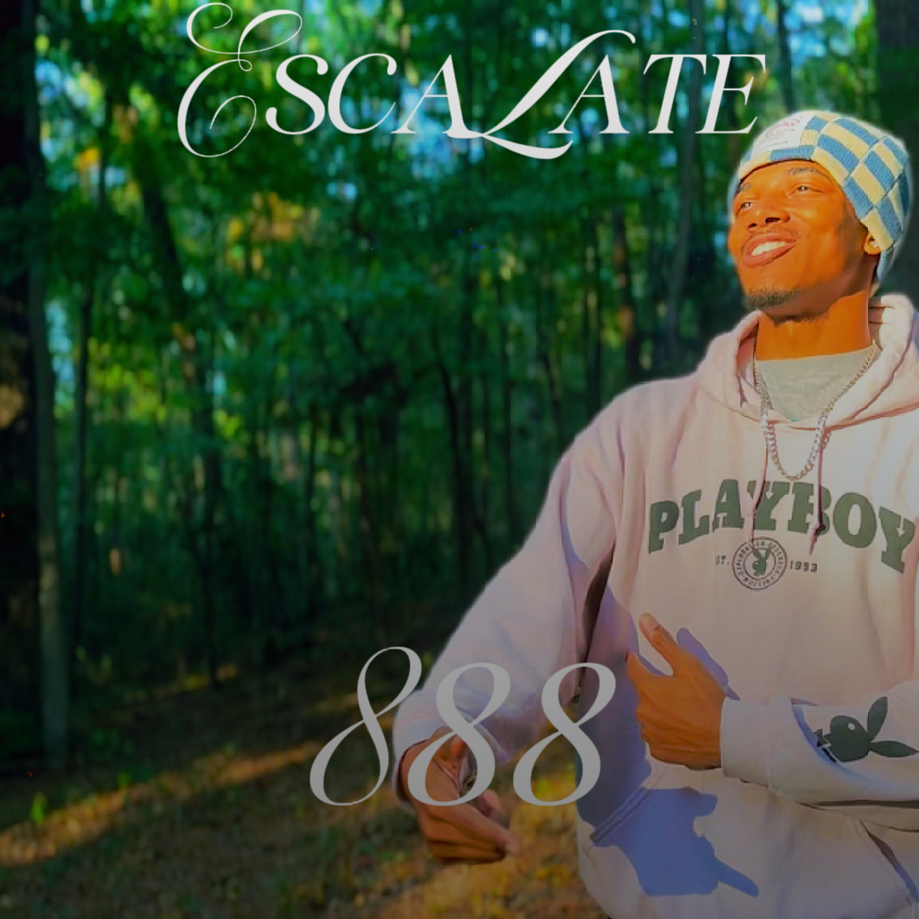 Escalate artwork