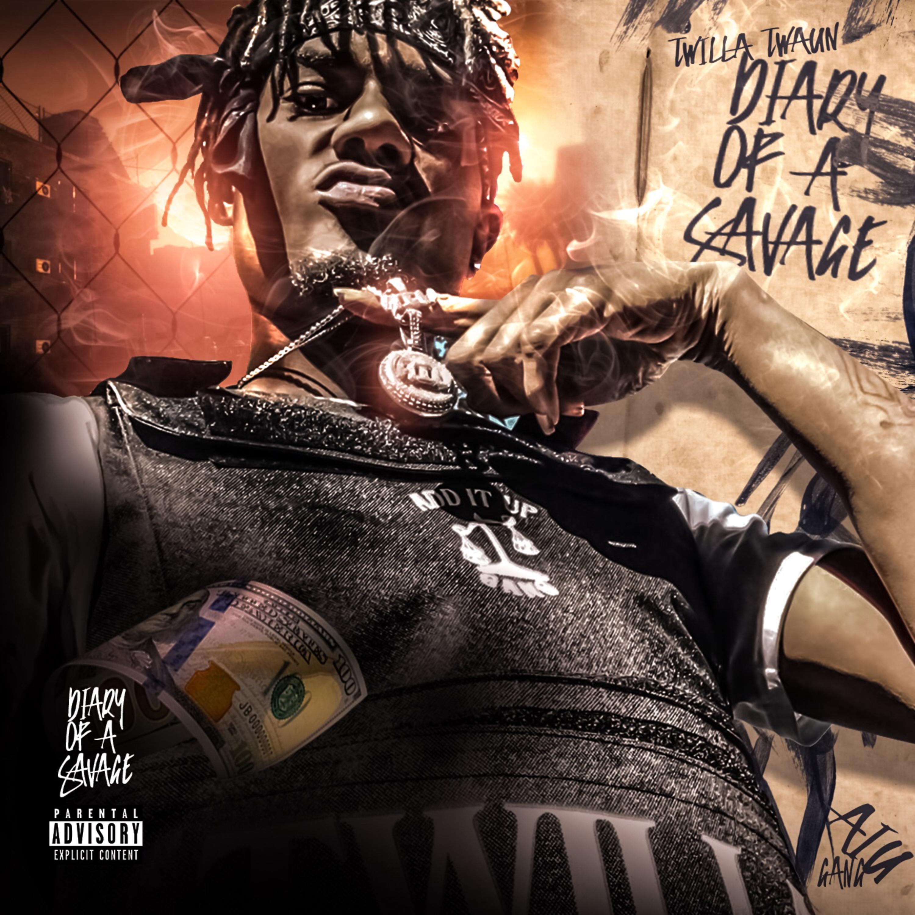 Diary Of A Savage artwork