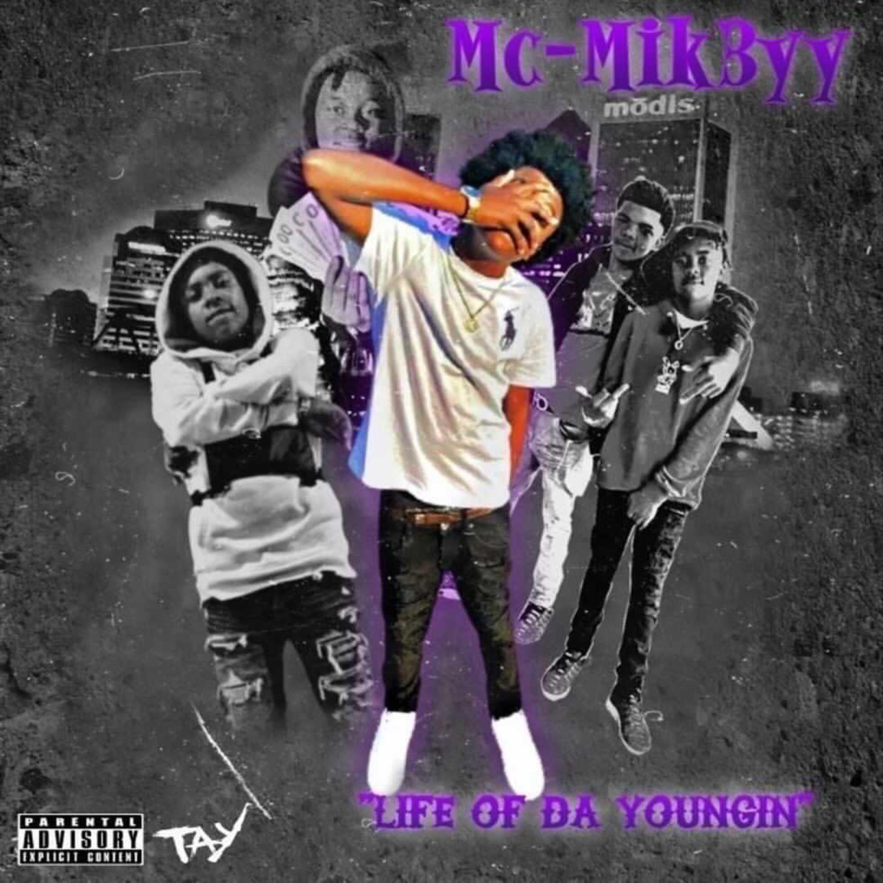 Life Of Da youngin artwork