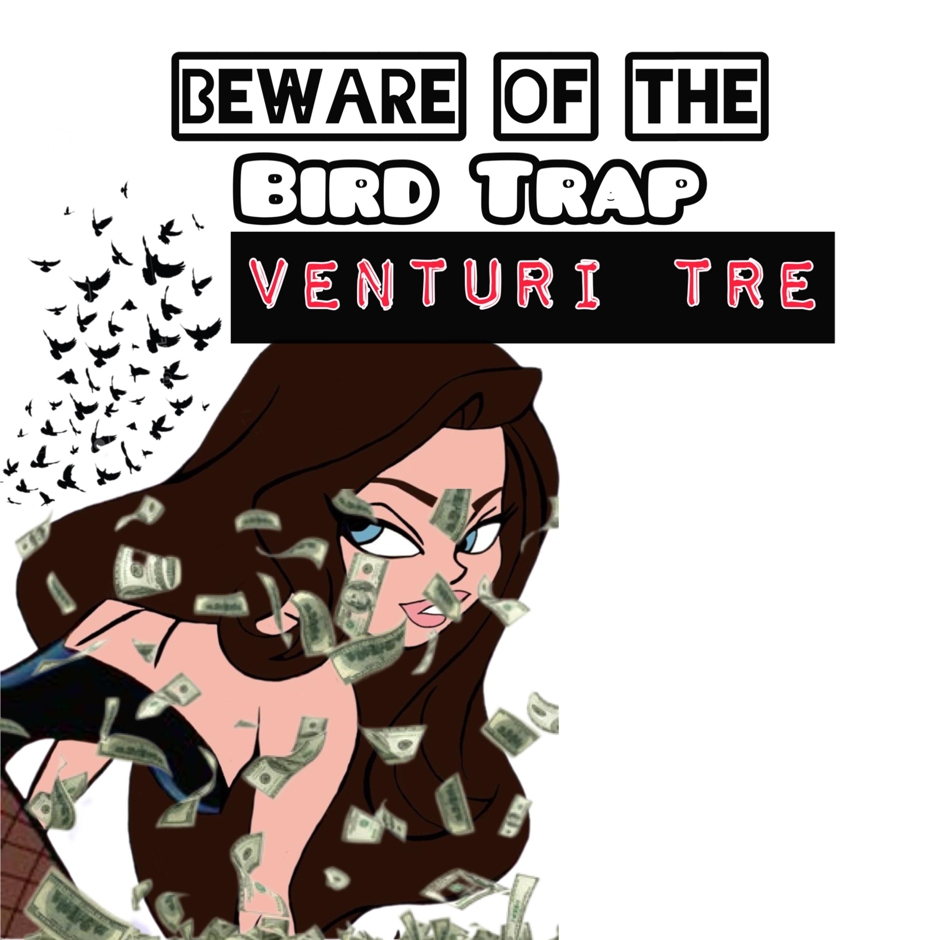 Bird Trap artwork
