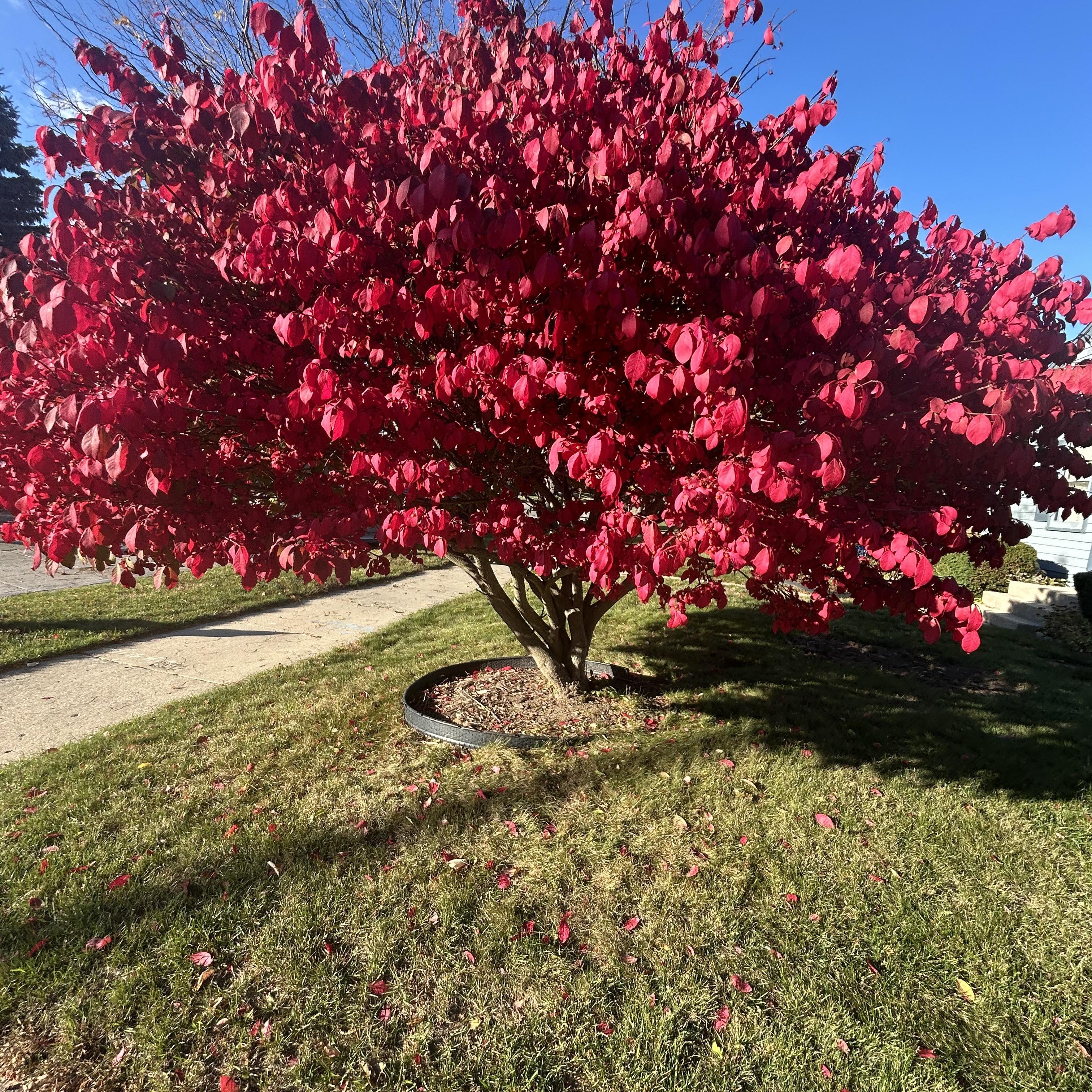 I Have A Feeling artwork