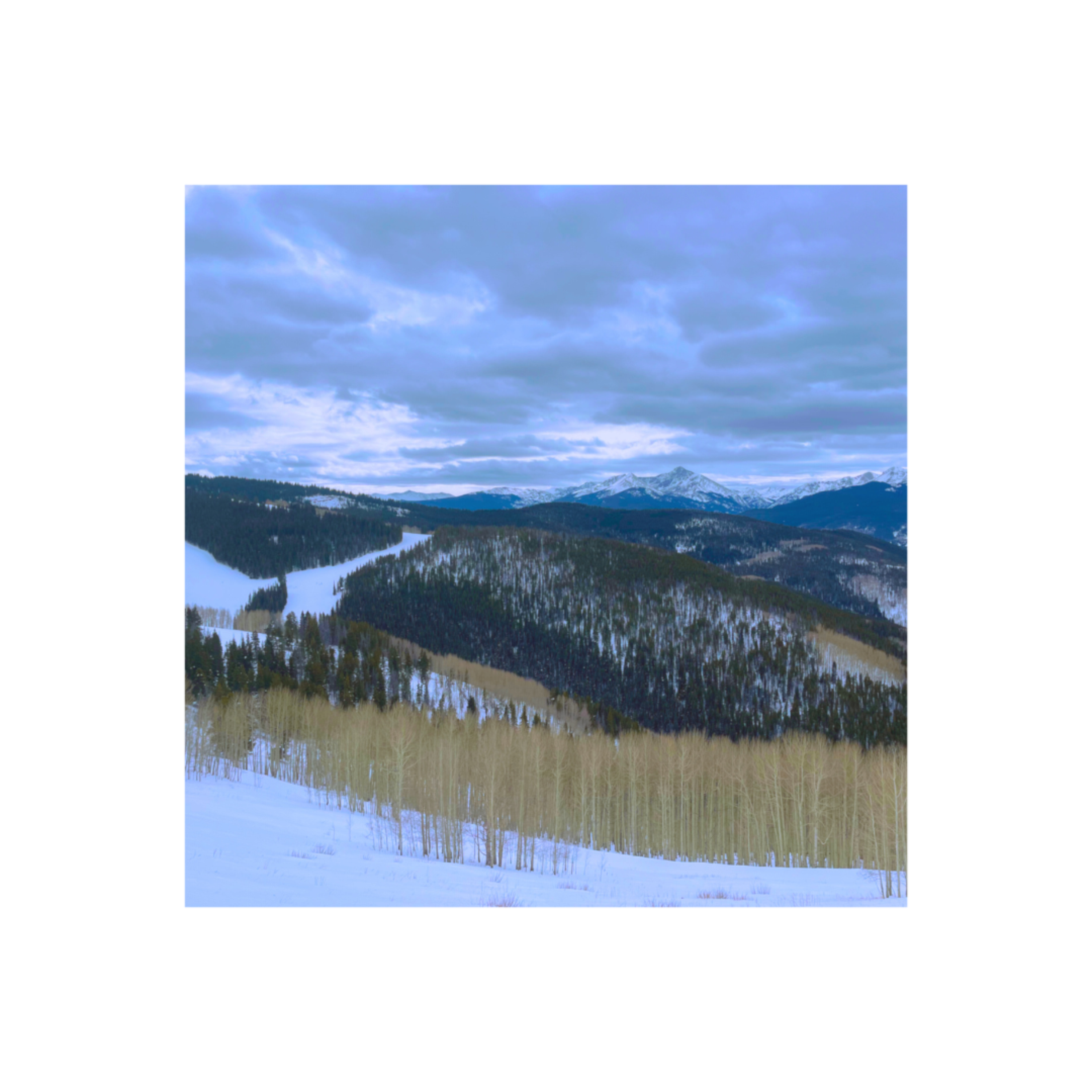 Elevator Music(Instrumental) artwork