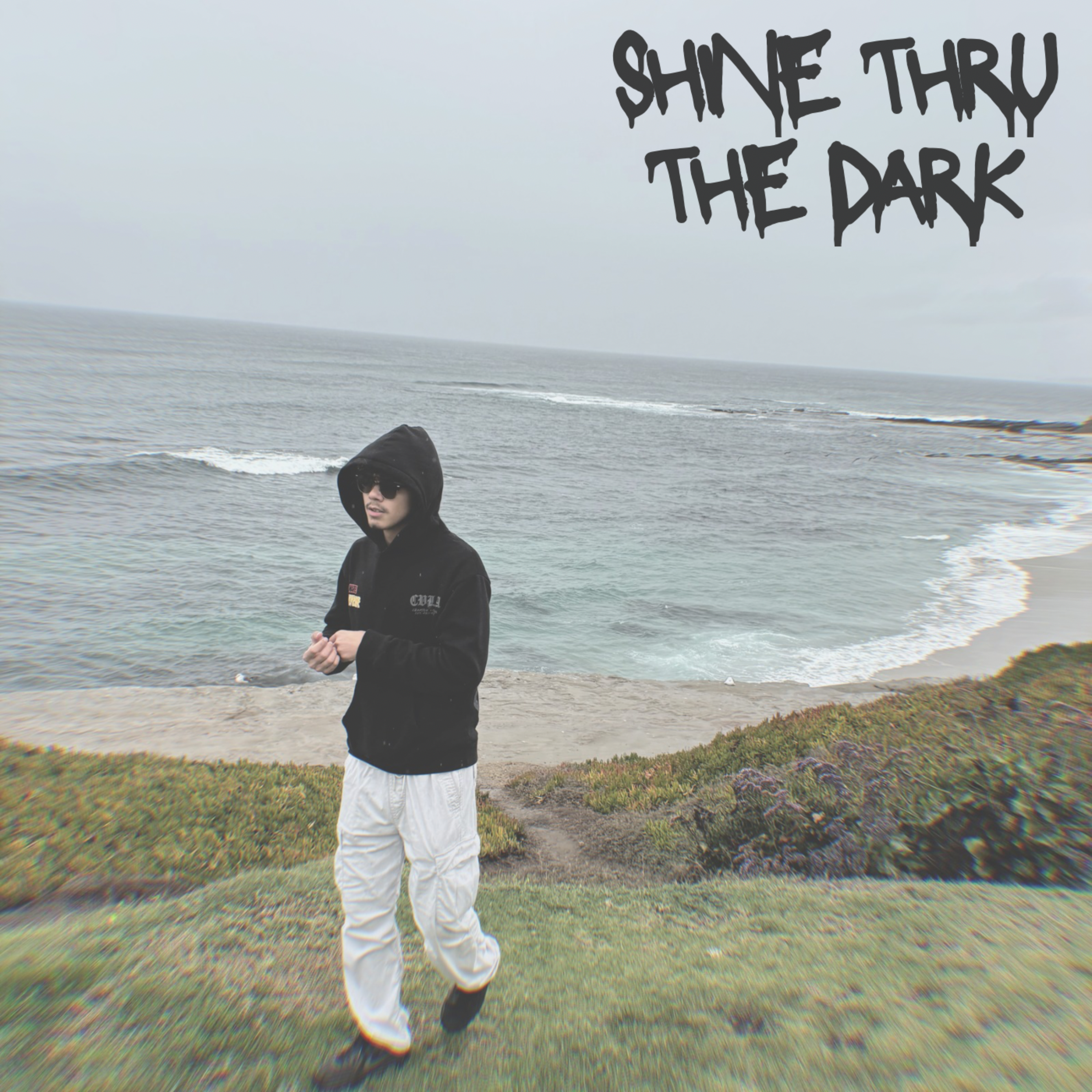Shine Thru The Dark artwork