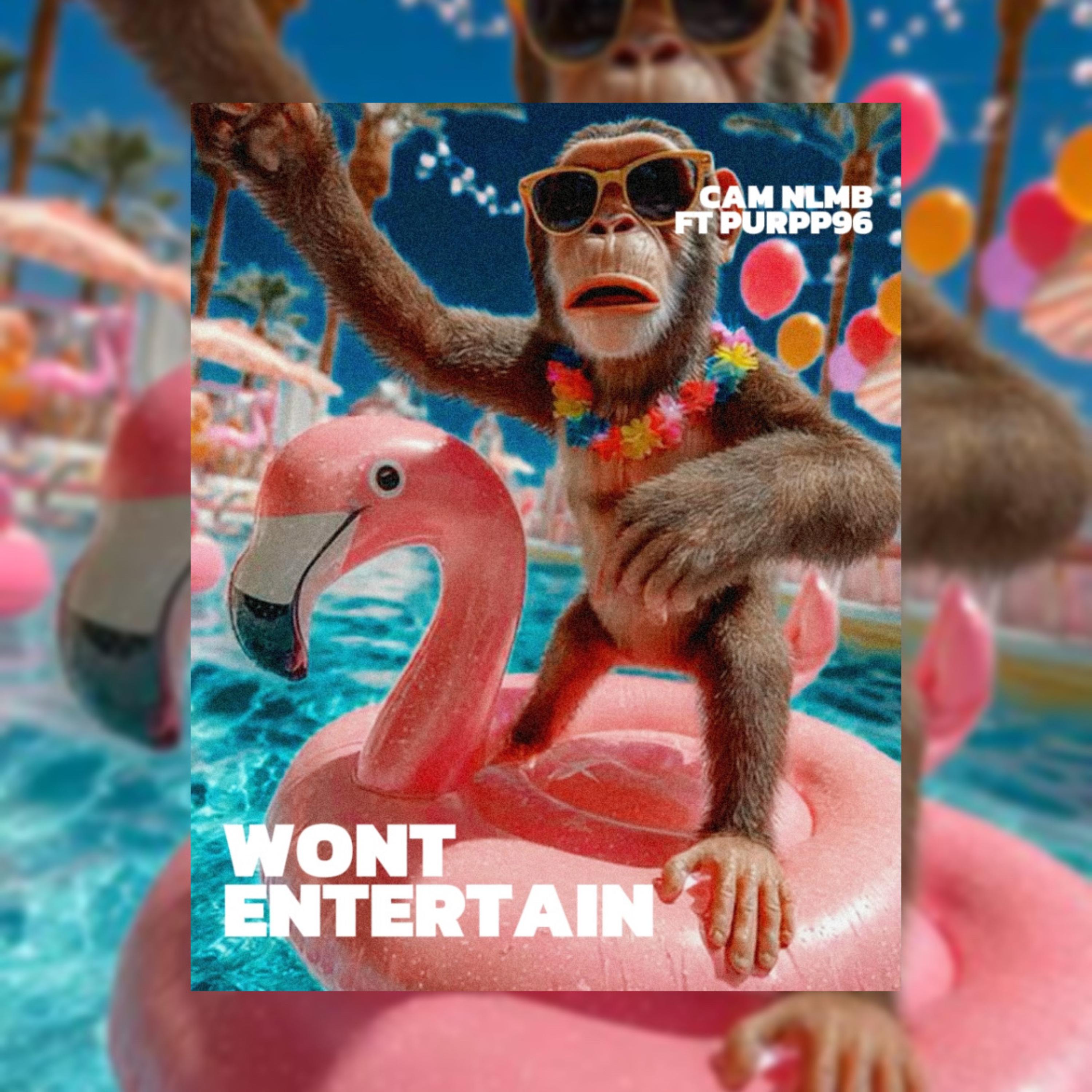 Won’t Entertain artwork