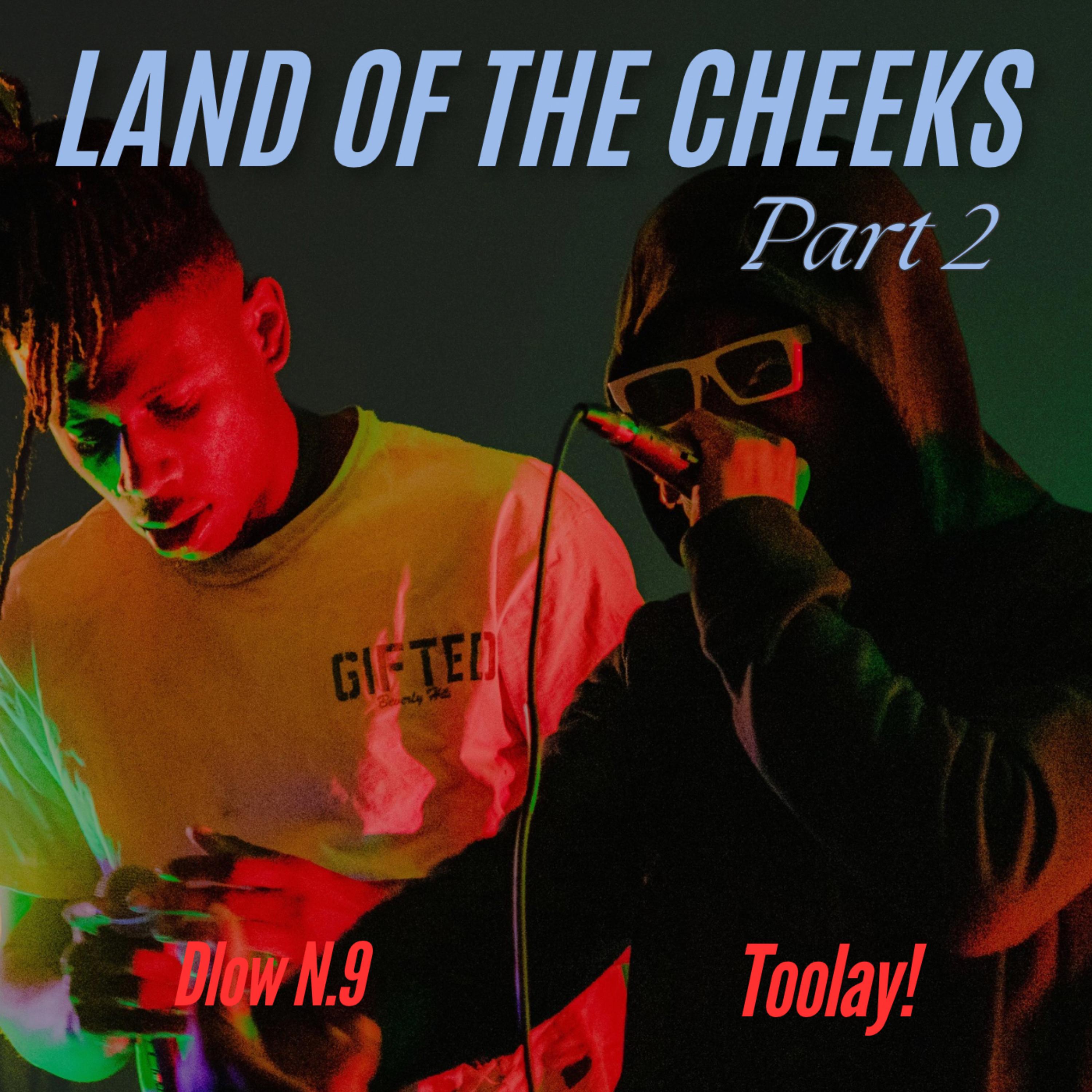 Land Of The Cheeks Part 2 artwork