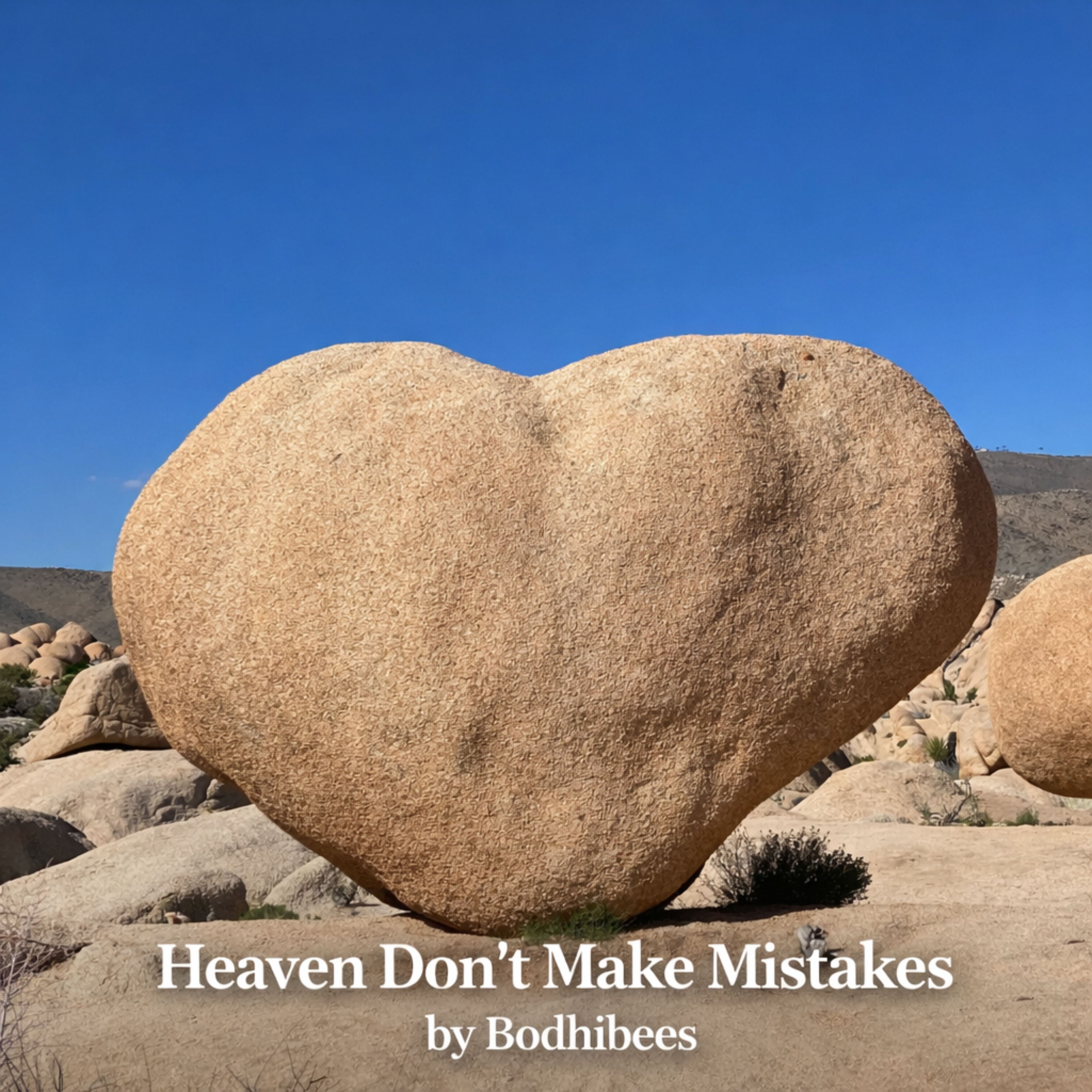 Heaven Don’t Make Mistakes artwork