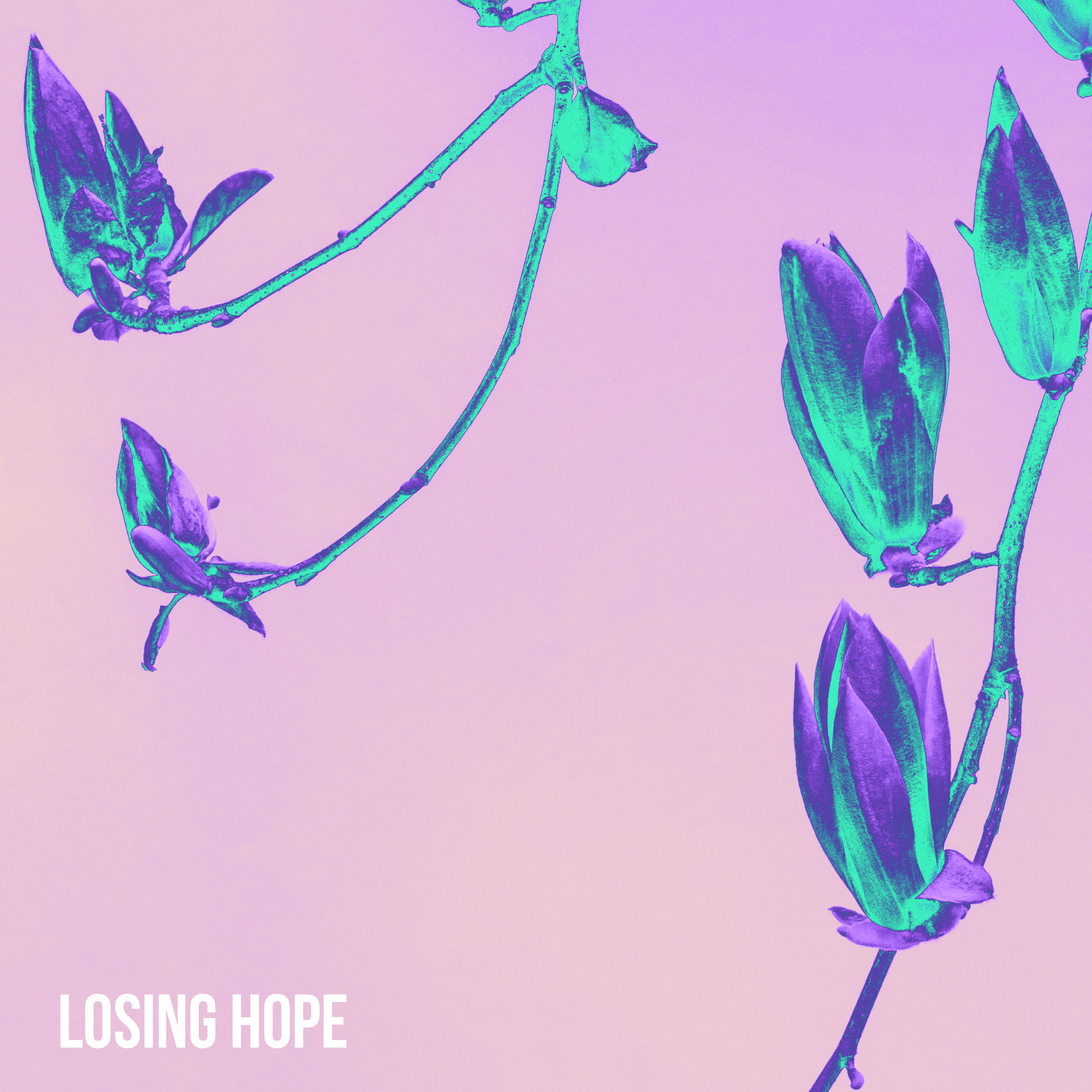 Losing Hope artwork