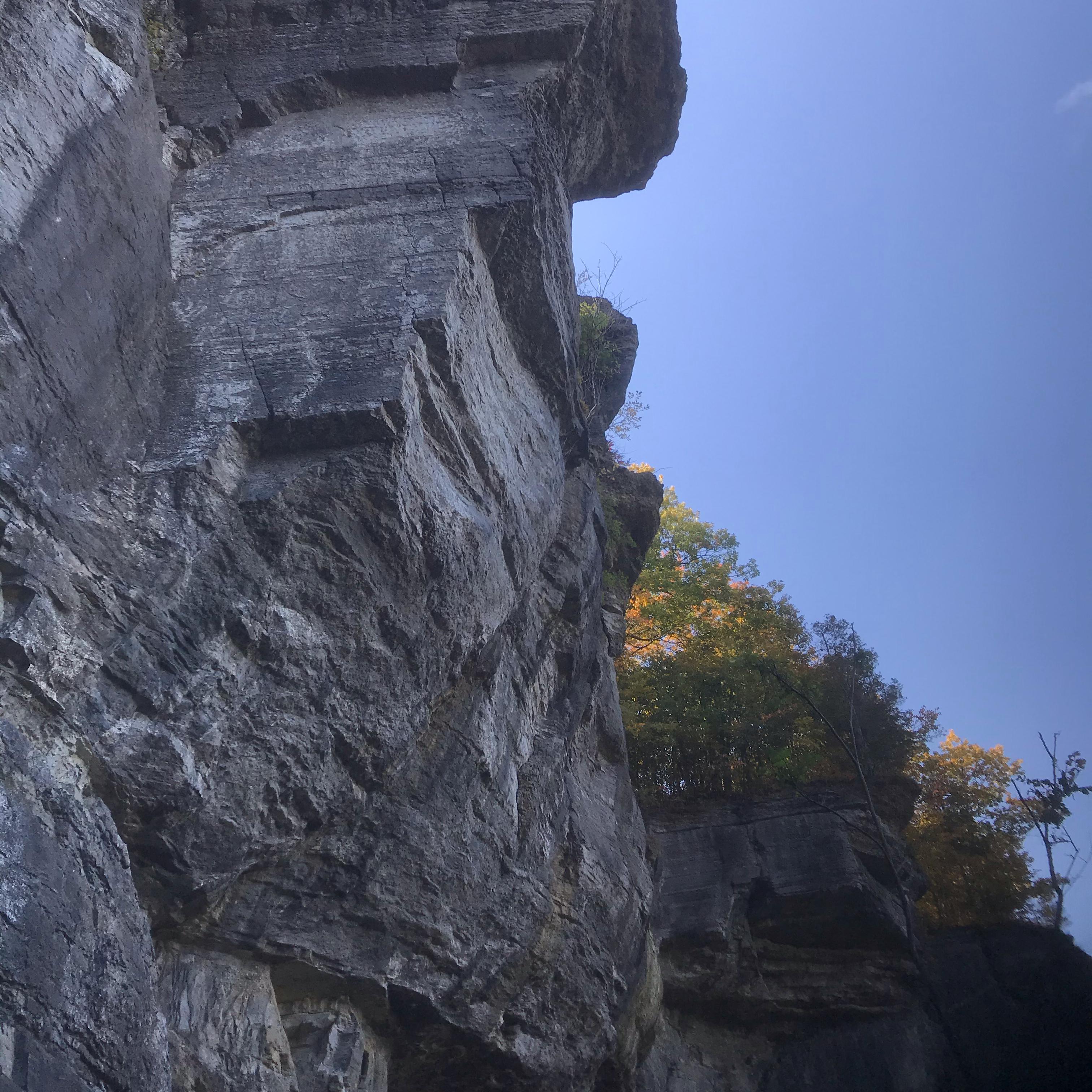 Whyd Had To Leave artwork